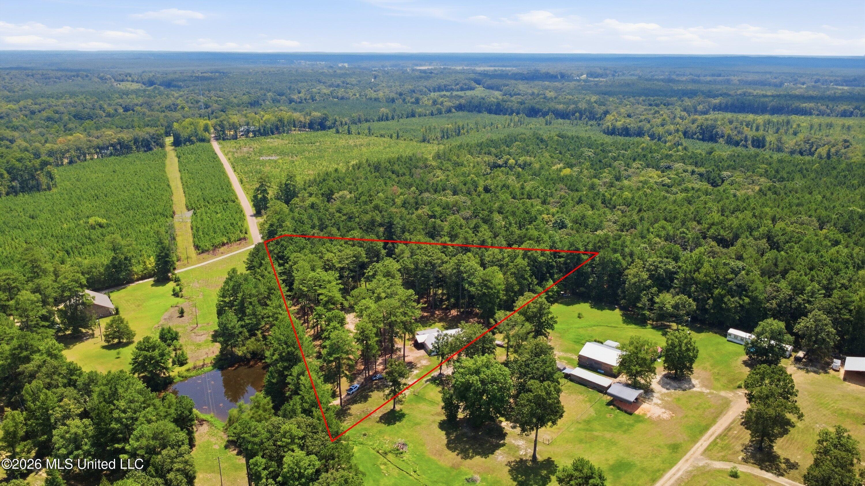 199 Easy Street Property Photo 34