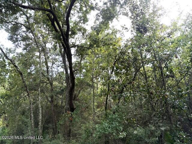Clarence Avenue Property Photo 1