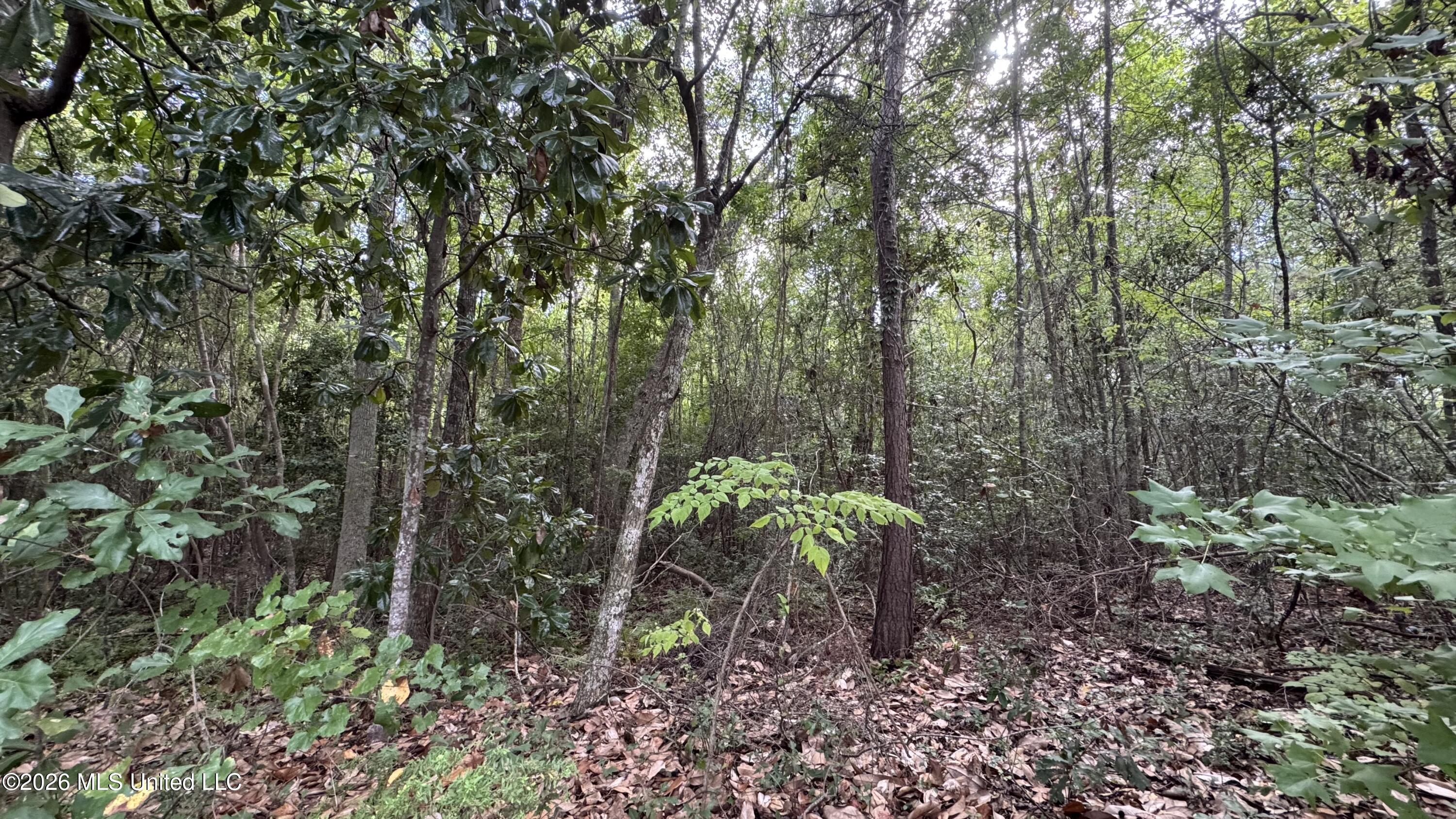 Oyster Shell (lot 24) Avenue Property Photo 2