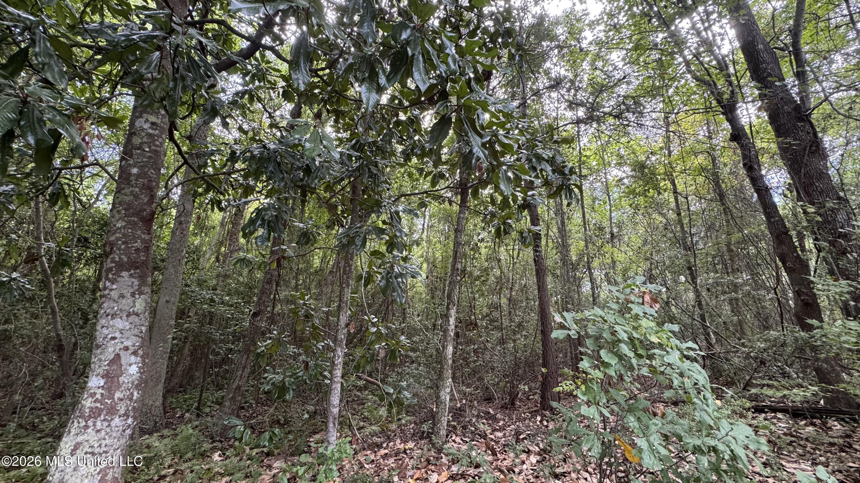 Oyster Shell (lot 24) Avenue Property Photo 3