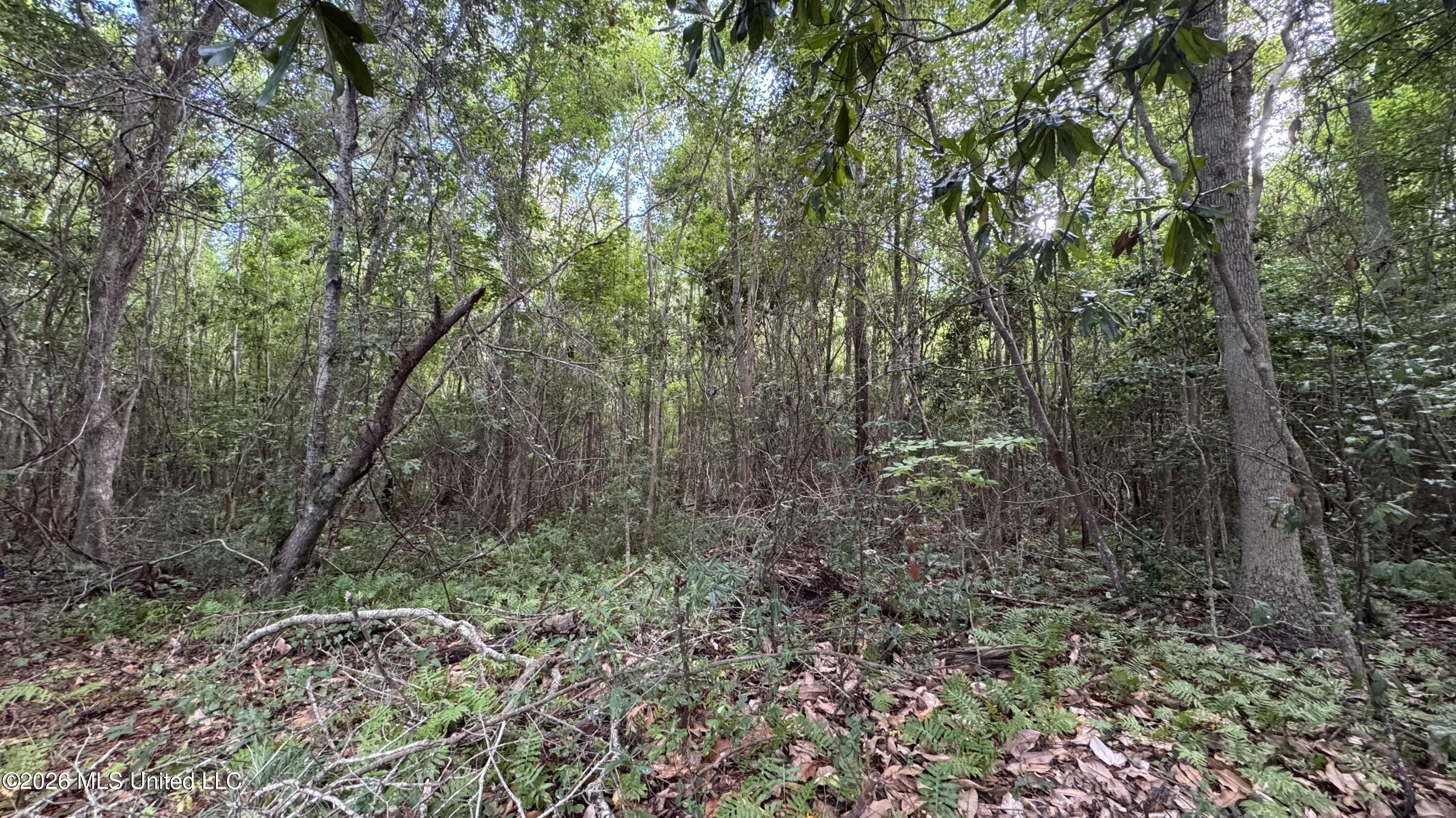 Oyster Shell Avenue Property Photo 3