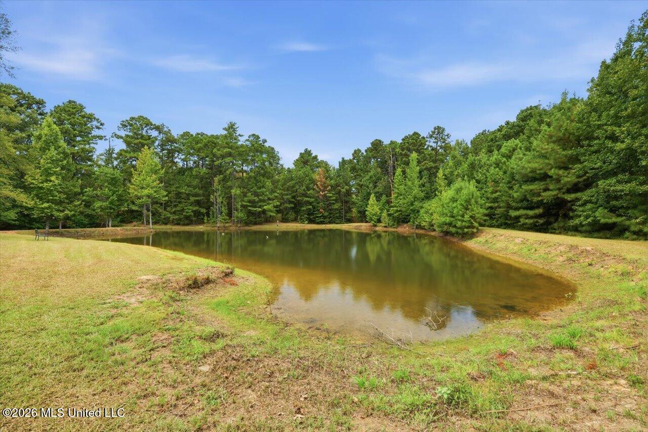 199 Pierce Road Property Photo 55