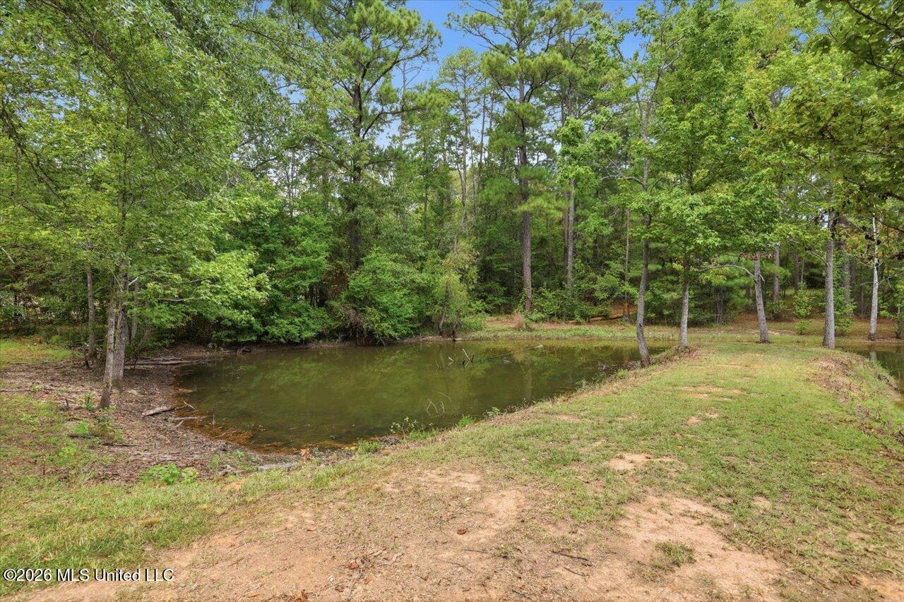 199 Pierce Road Property Photo 59