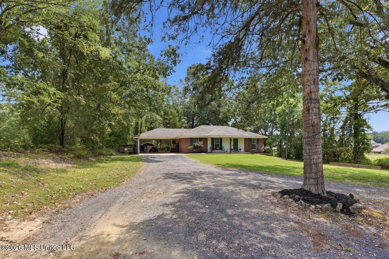 185 Vine Drive Property Photo 4