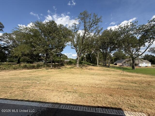 124 Oakworth Drive Property Photo 27