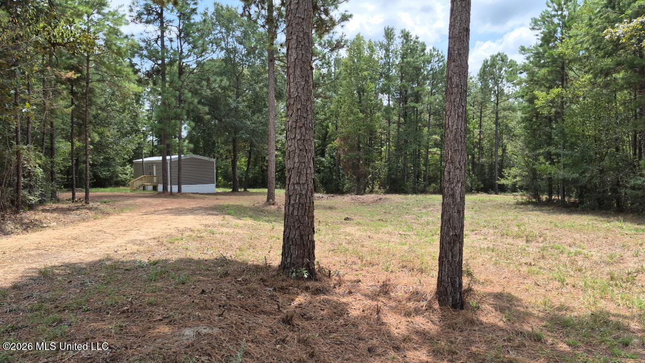 265 Smith Road Property Photo 18