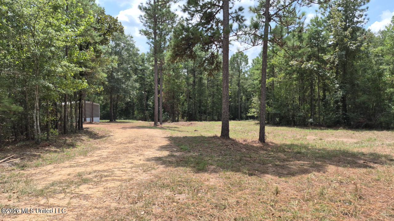 265 Smith Road Property Photo 19