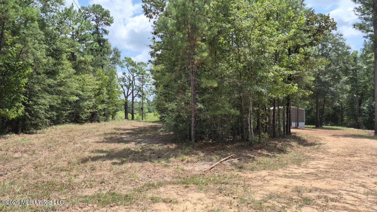 265 Smith Road Property Photo 20