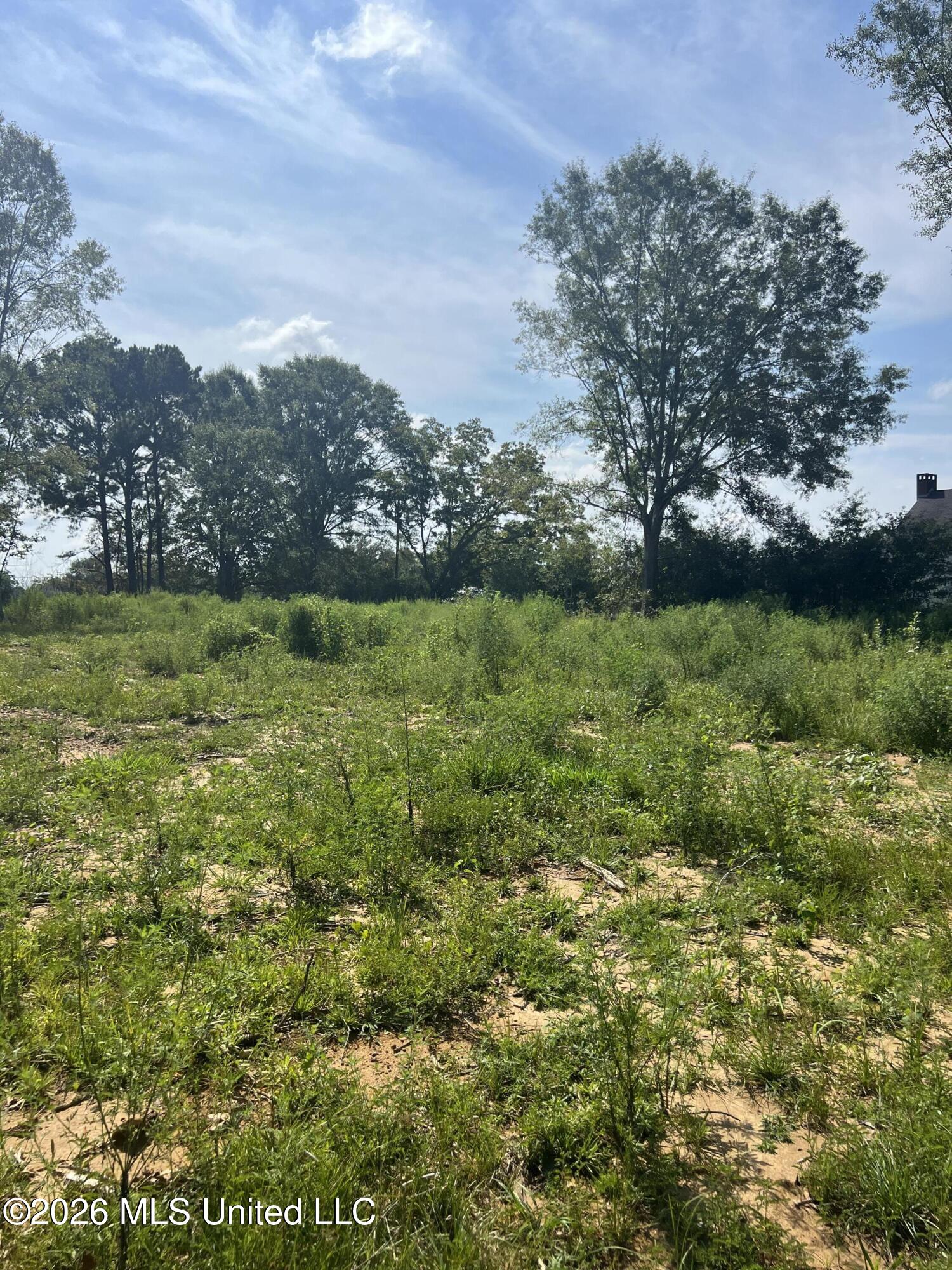 18029 Pecan Court Property Photo 2