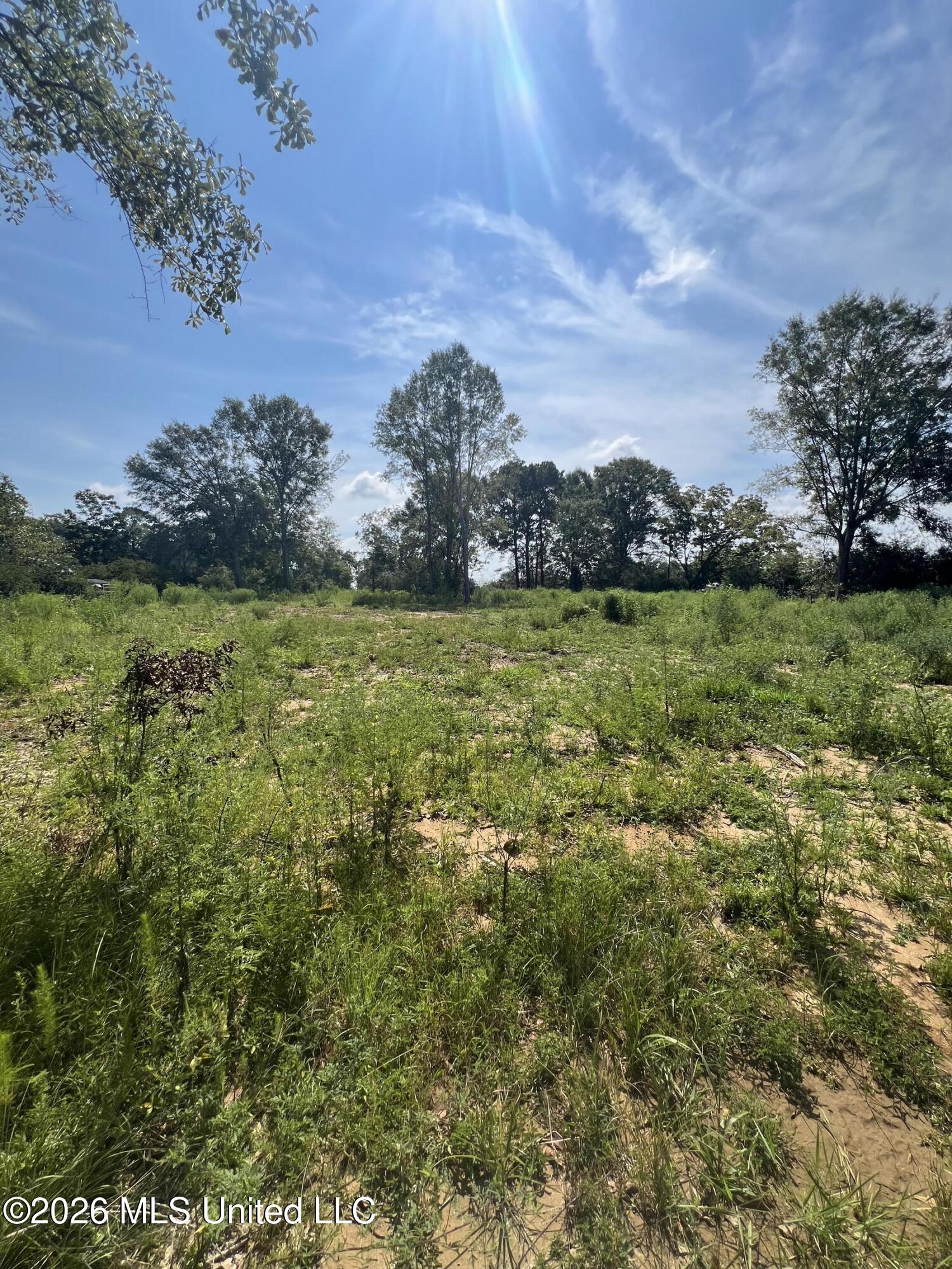 18029 Pecan Court Property Photo 3