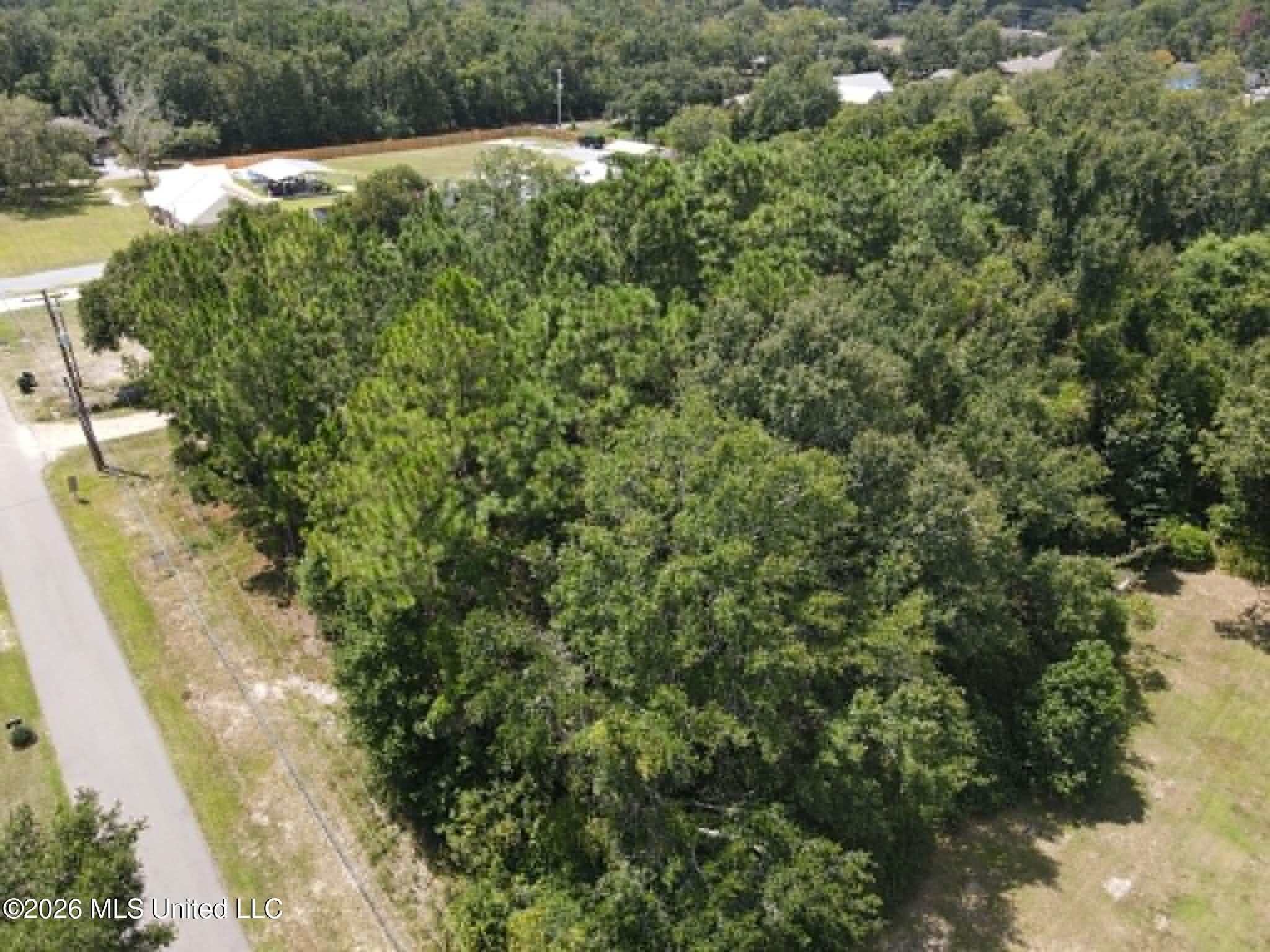 2201 Henderson Street Property Photo 14
