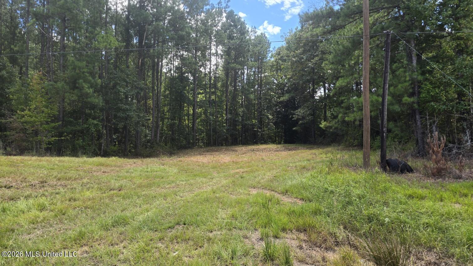 00 E Hwy 84 Road Property Photo 1
