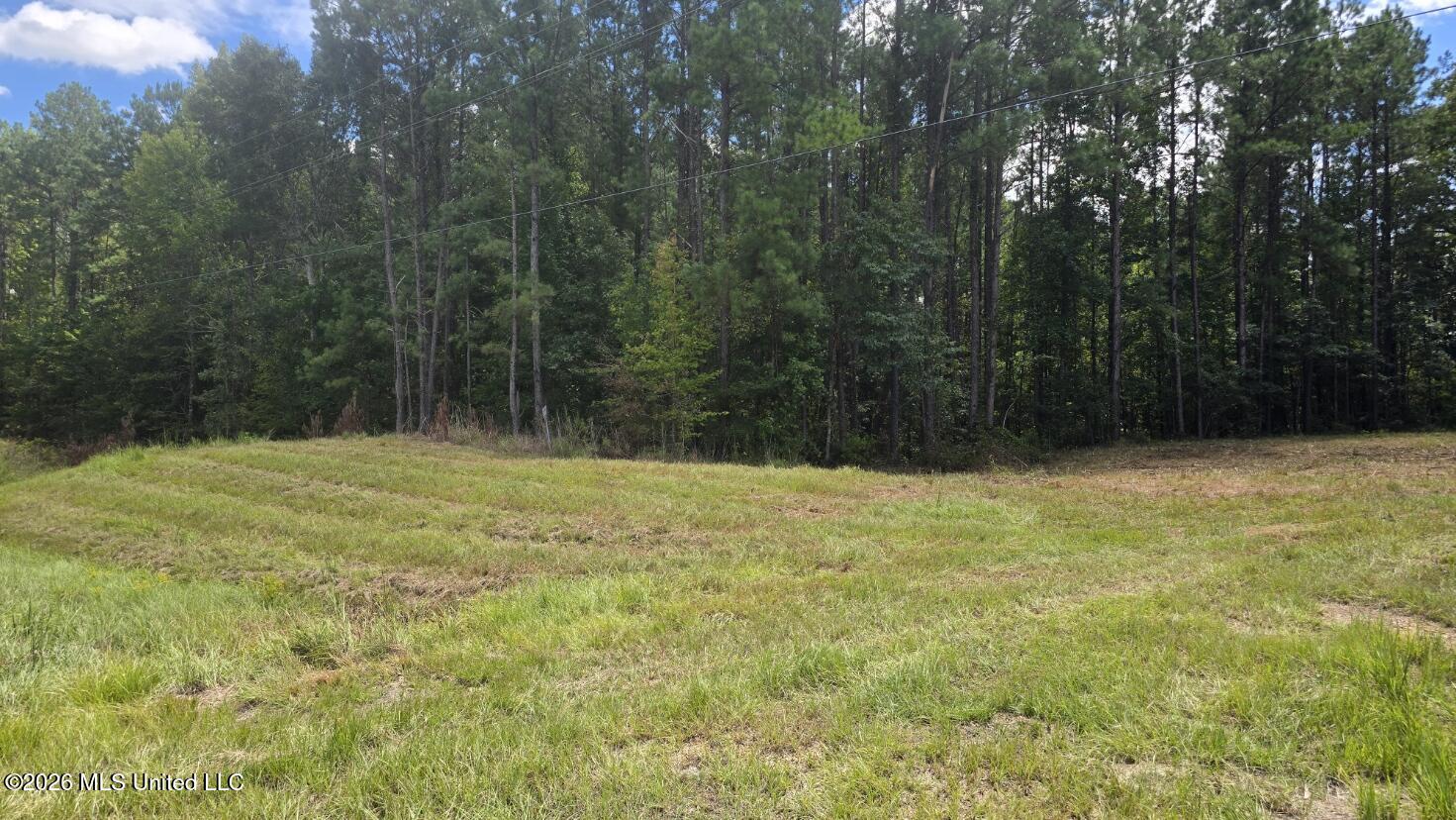 00 E Hwy 84 Road Property Photo 2