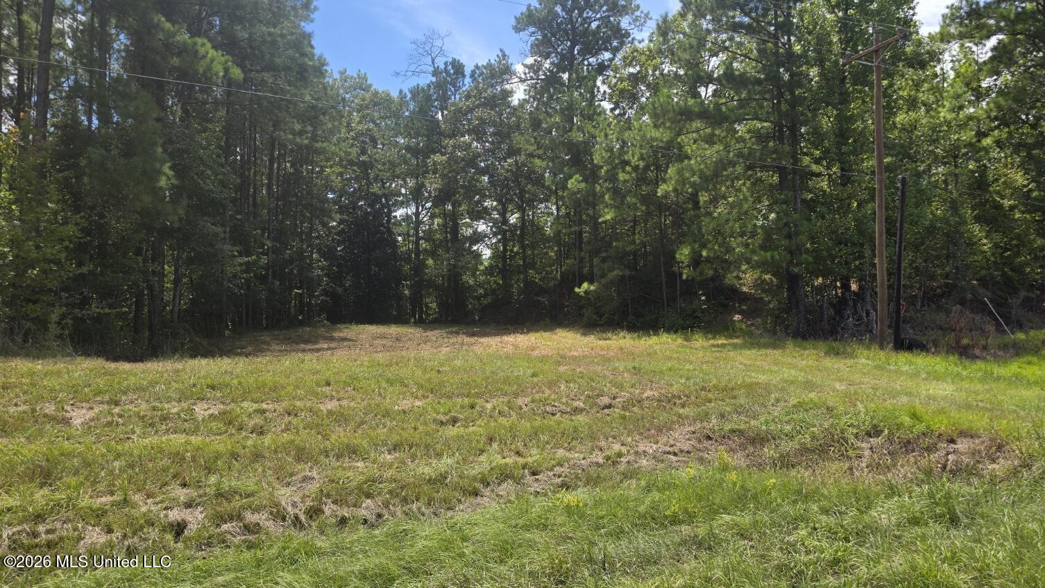 00 E Hwy 84 Road Property Photo 3