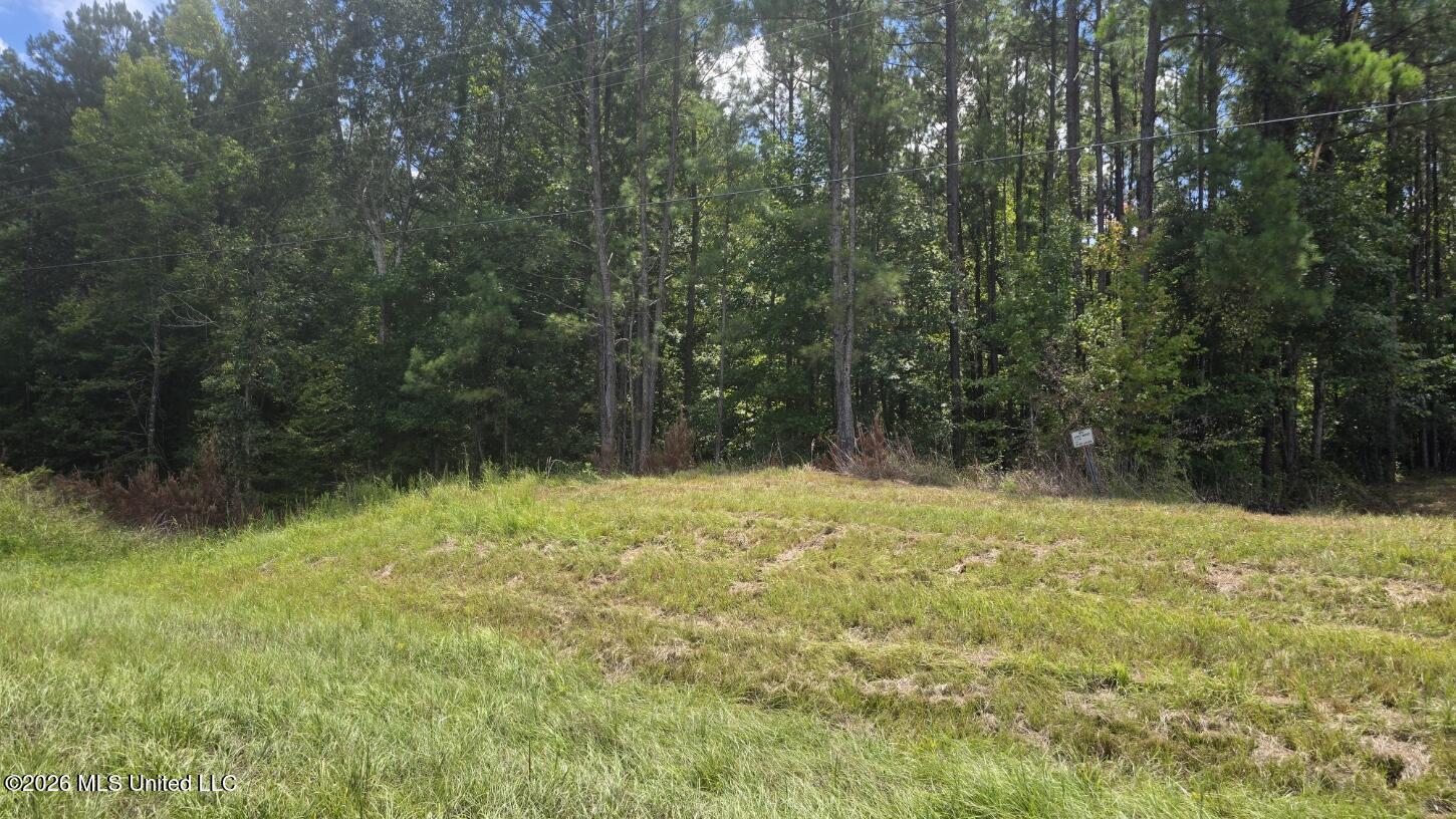 00 E Hwy 84 Road Property Photo 4
