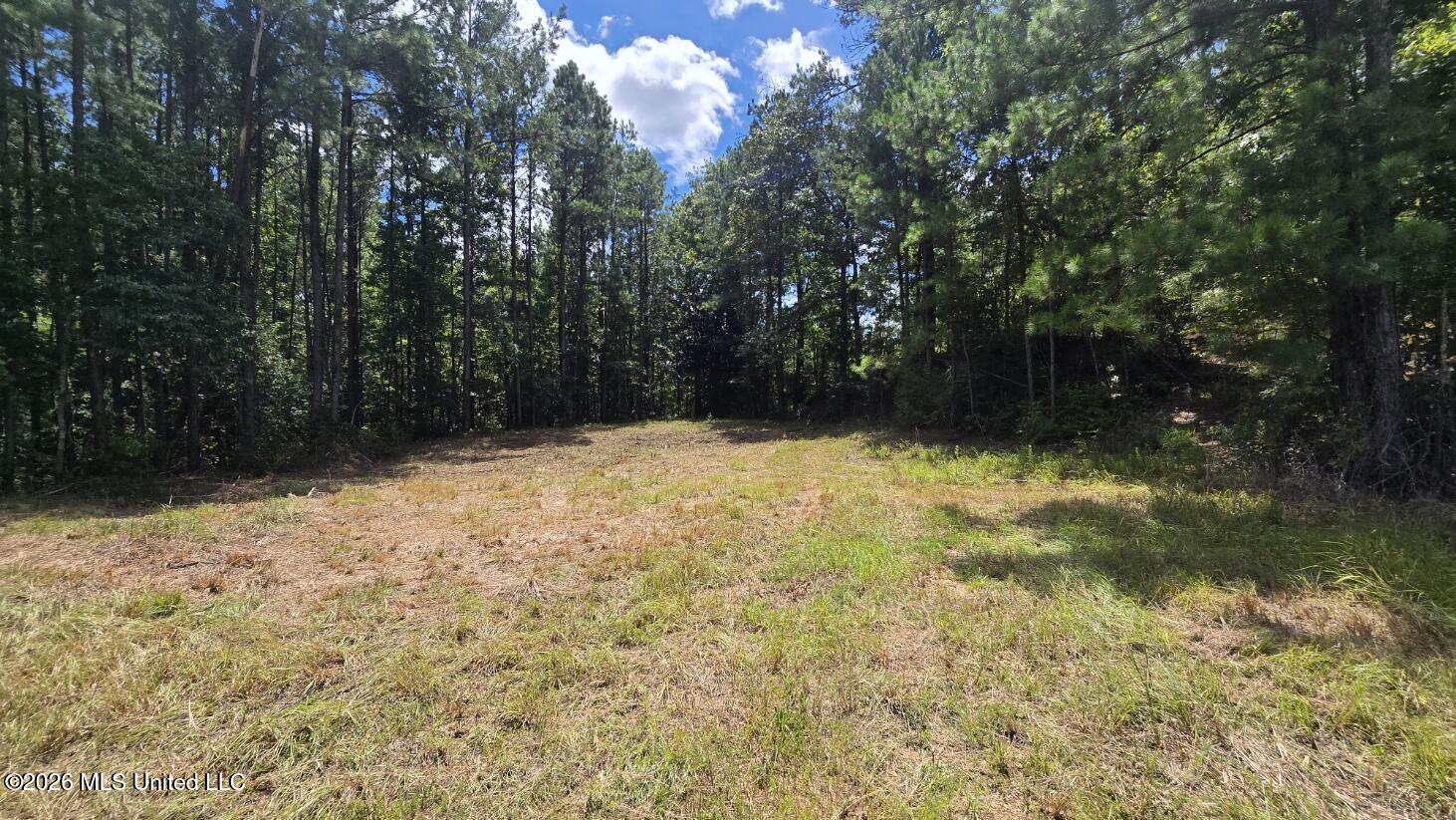 00 E Hwy 84 Road Property Photo 5