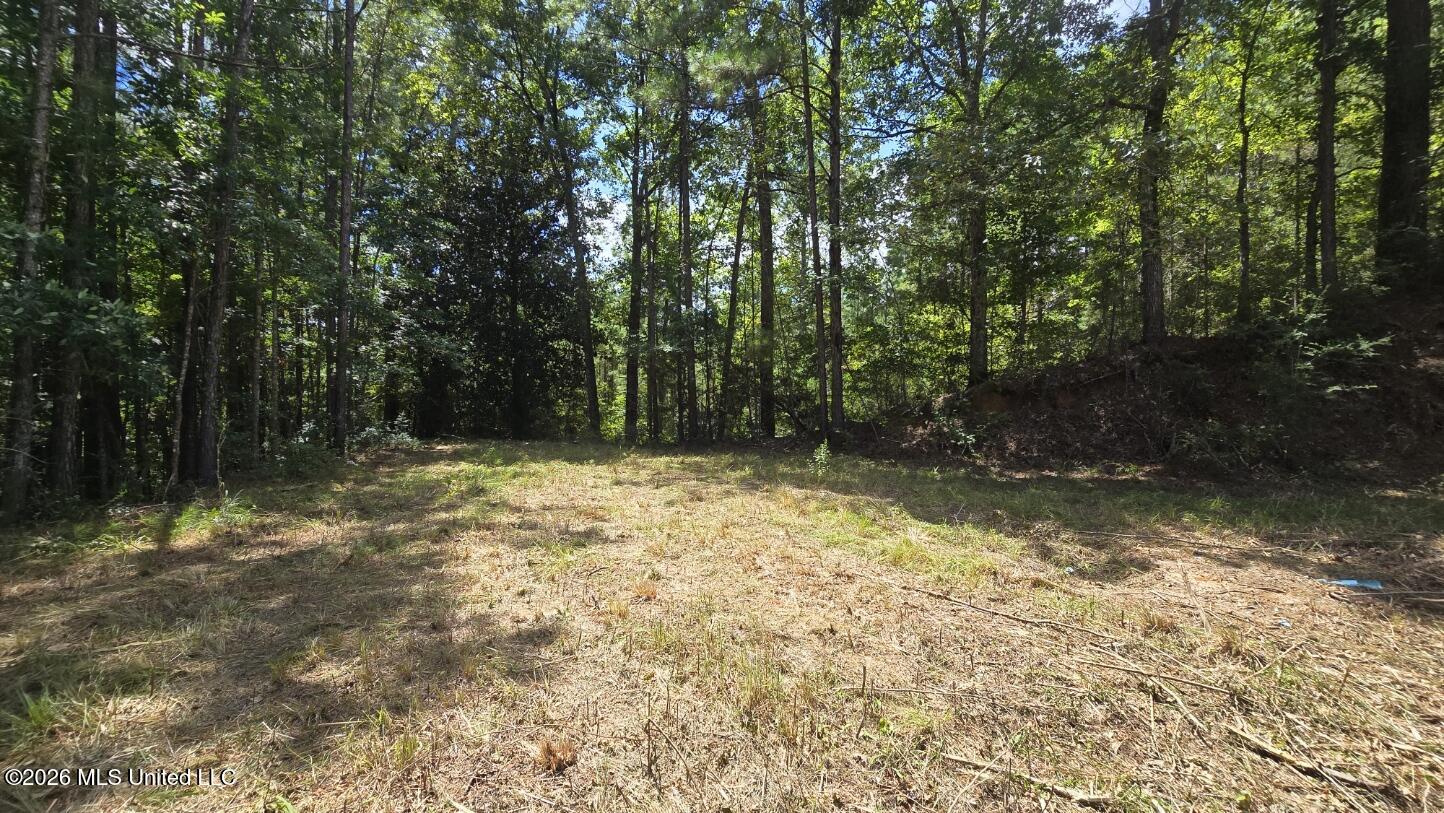 00 E Hwy 84 Road Property Photo 6