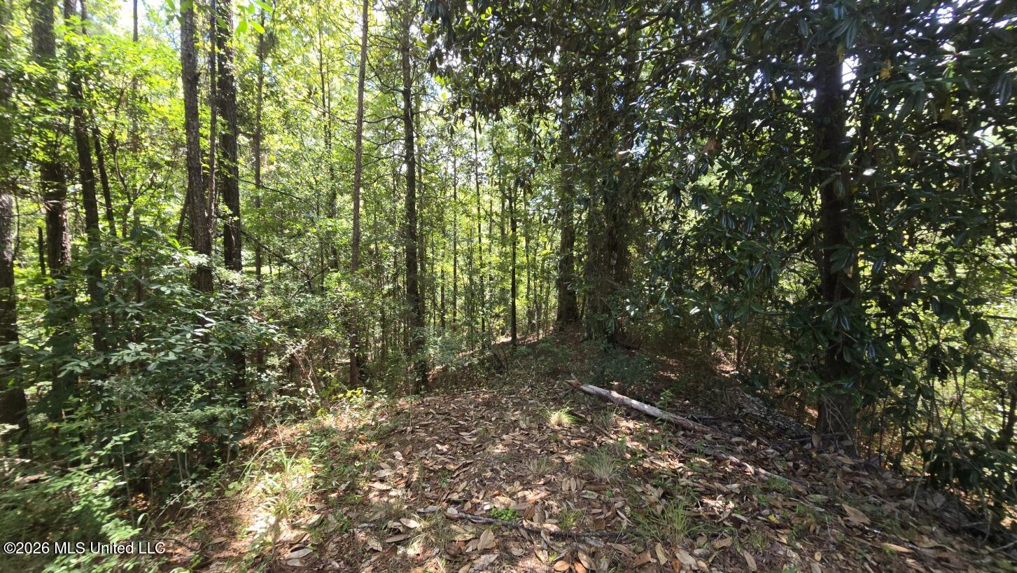 00 E Hwy 84 Road Property Photo 7