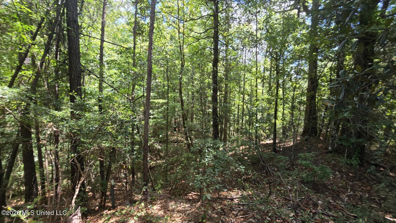 00 E Hwy 84 Road Property Photo 8