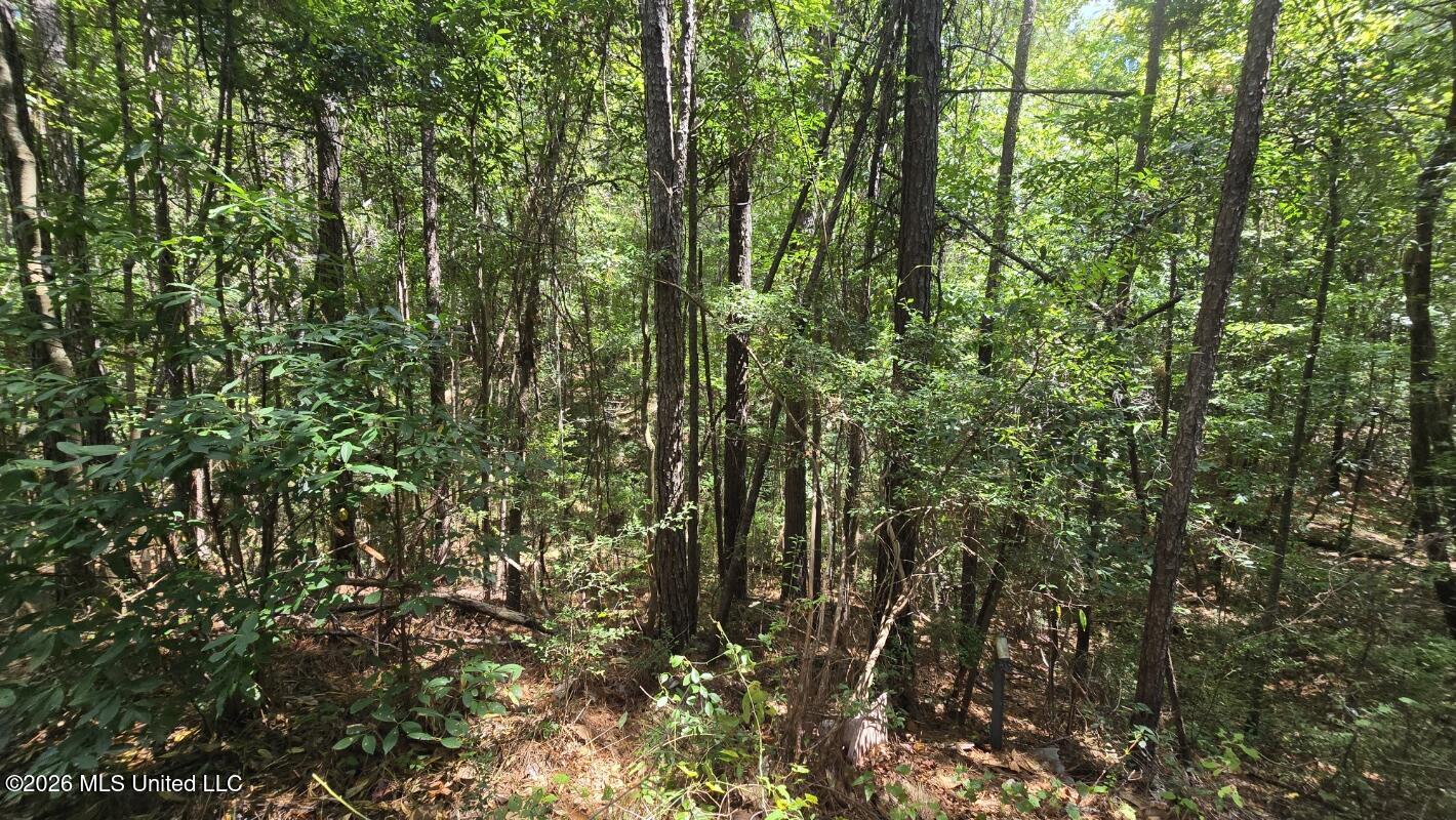00 E Hwy 84 Road Property Photo 9