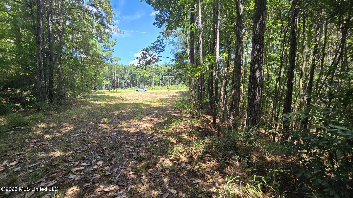 00 E Hwy 84 Road Property Photo 10
