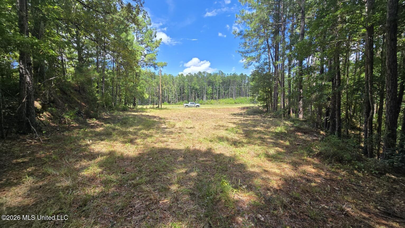 00 E Hwy 84 Road Property Photo 11