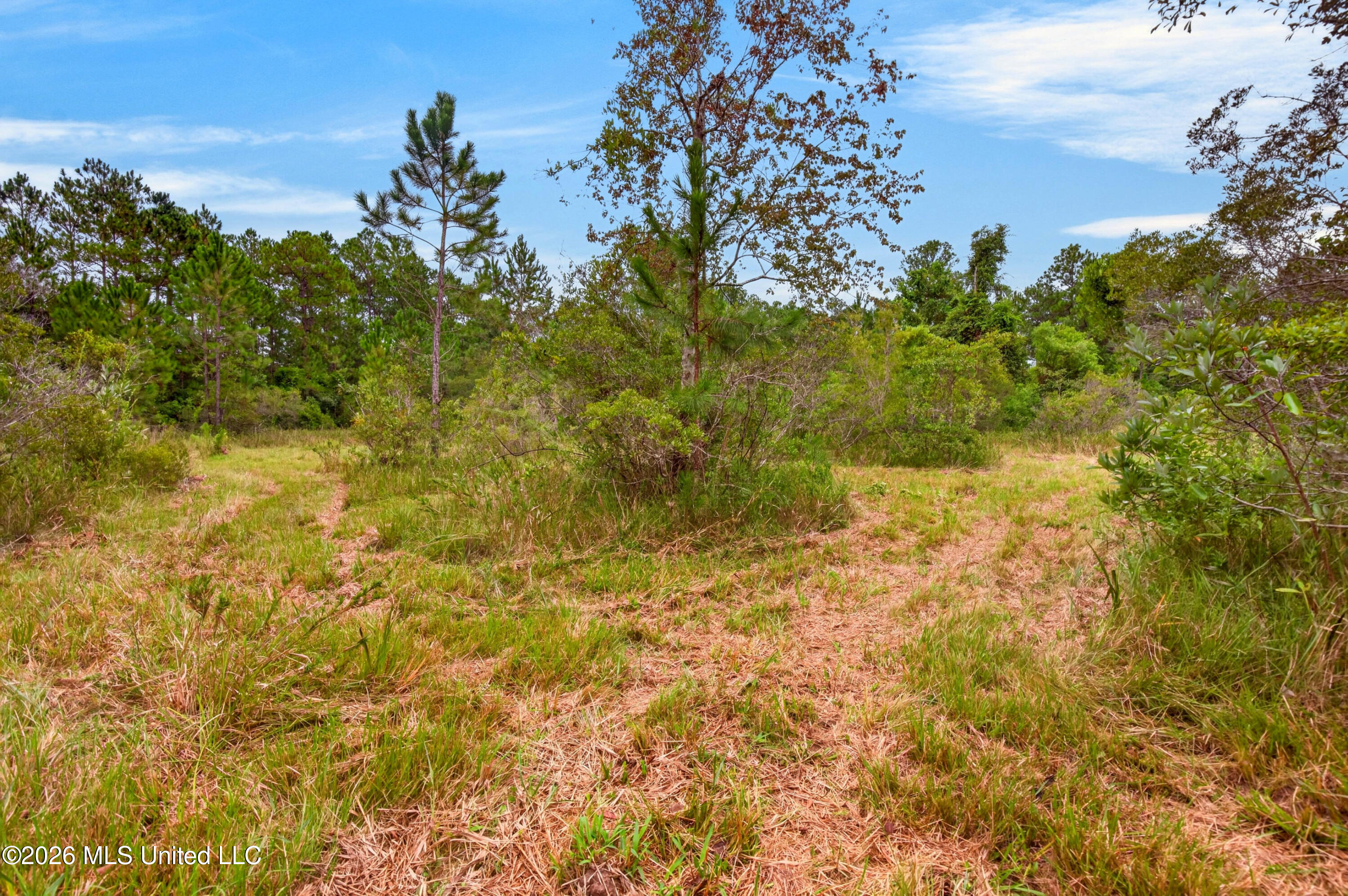13417 Arguellas Road Property Photo 46