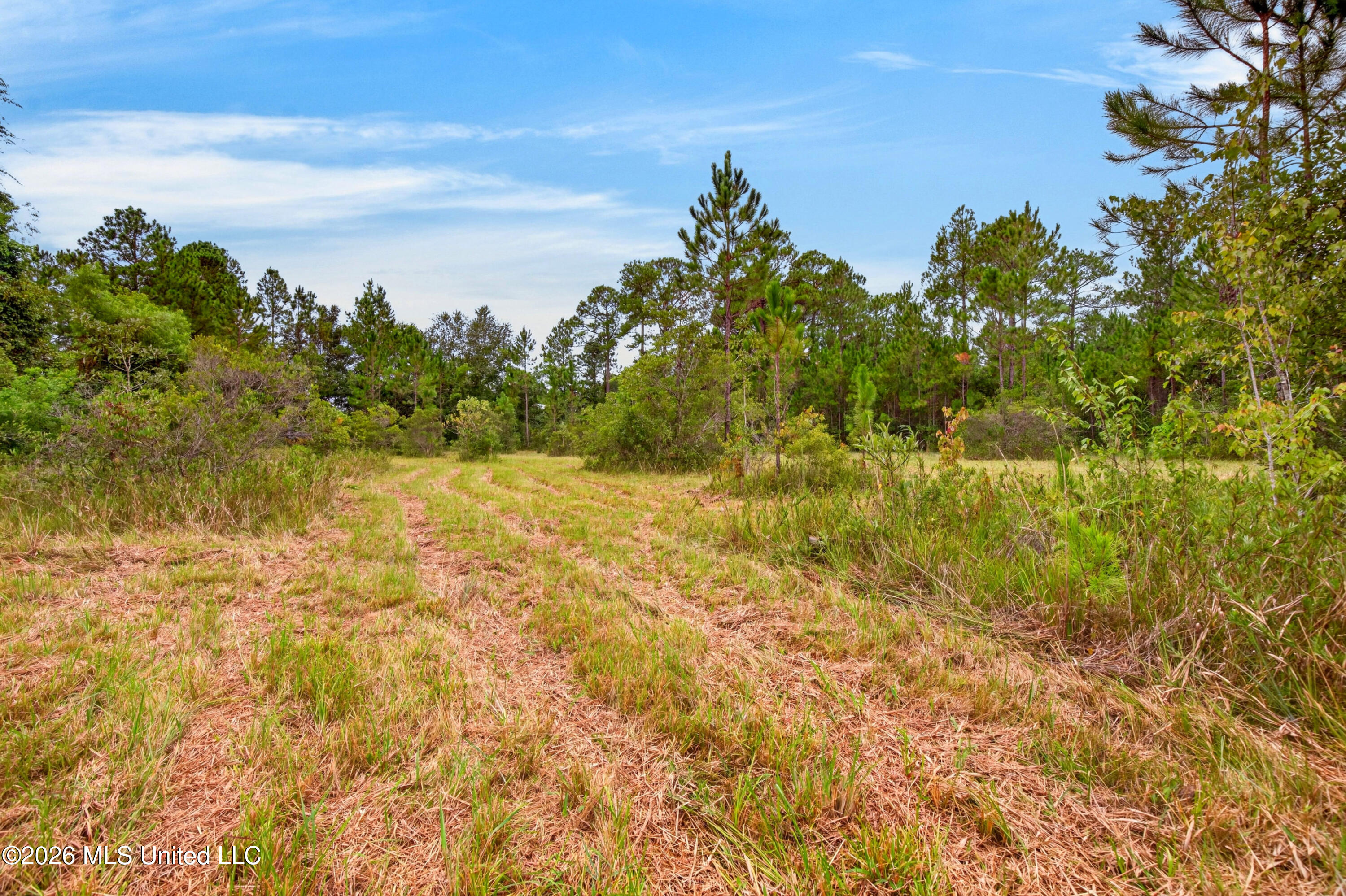 13417 Arguellas Road Property Photo 47