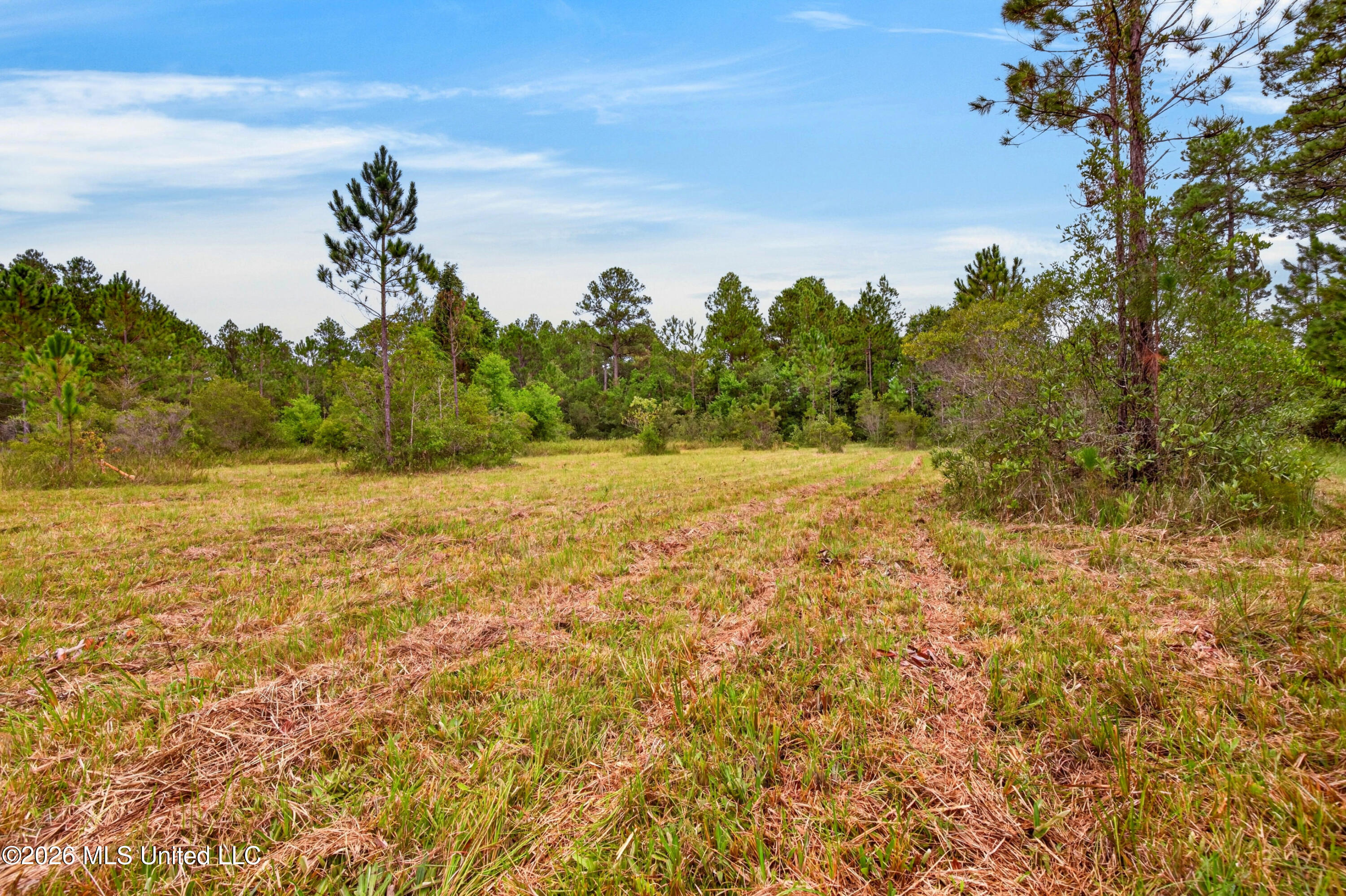 13417 Arguellas Road Property Photo 48