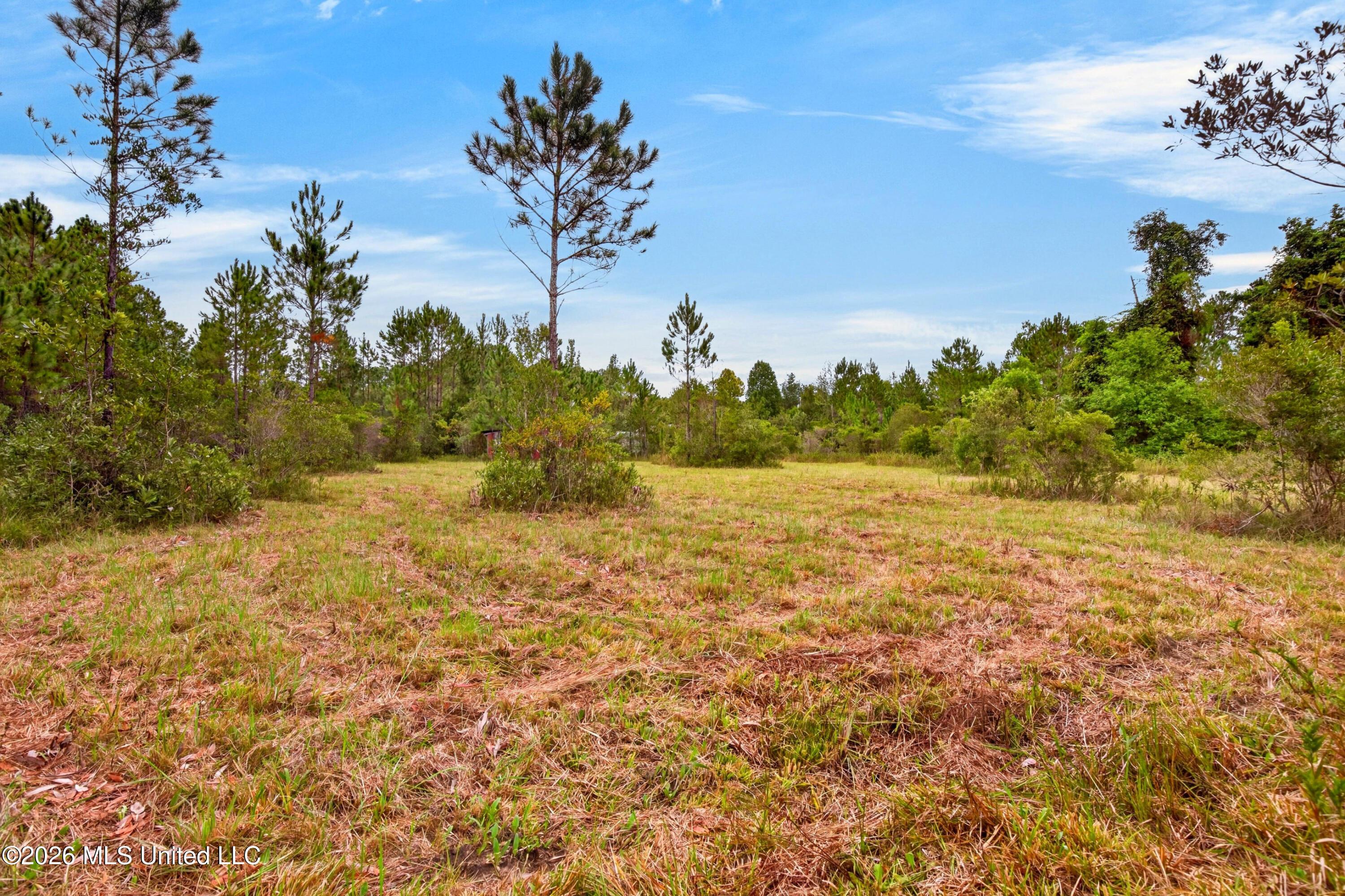13417 Arguellas Road Property Photo 49