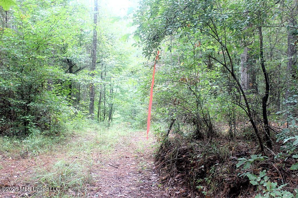John Chambers Road Property Photo 10