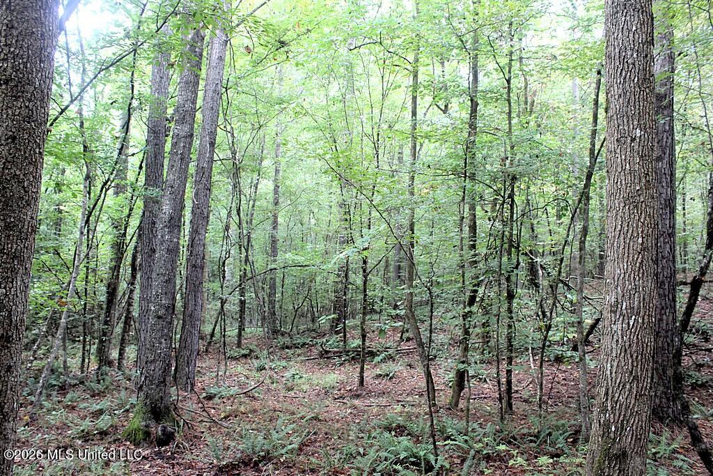 John Chambers Road Property Photo 11