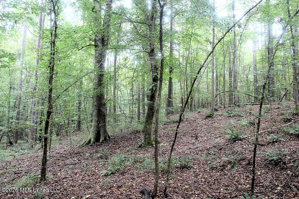 John Chambers Road Property Photo 13