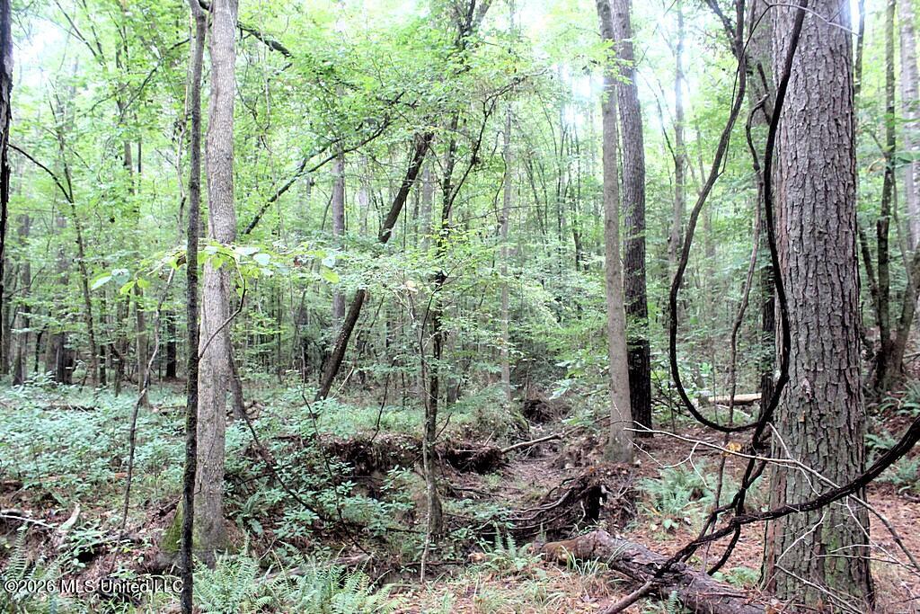 John Chambers Road Property Photo 14