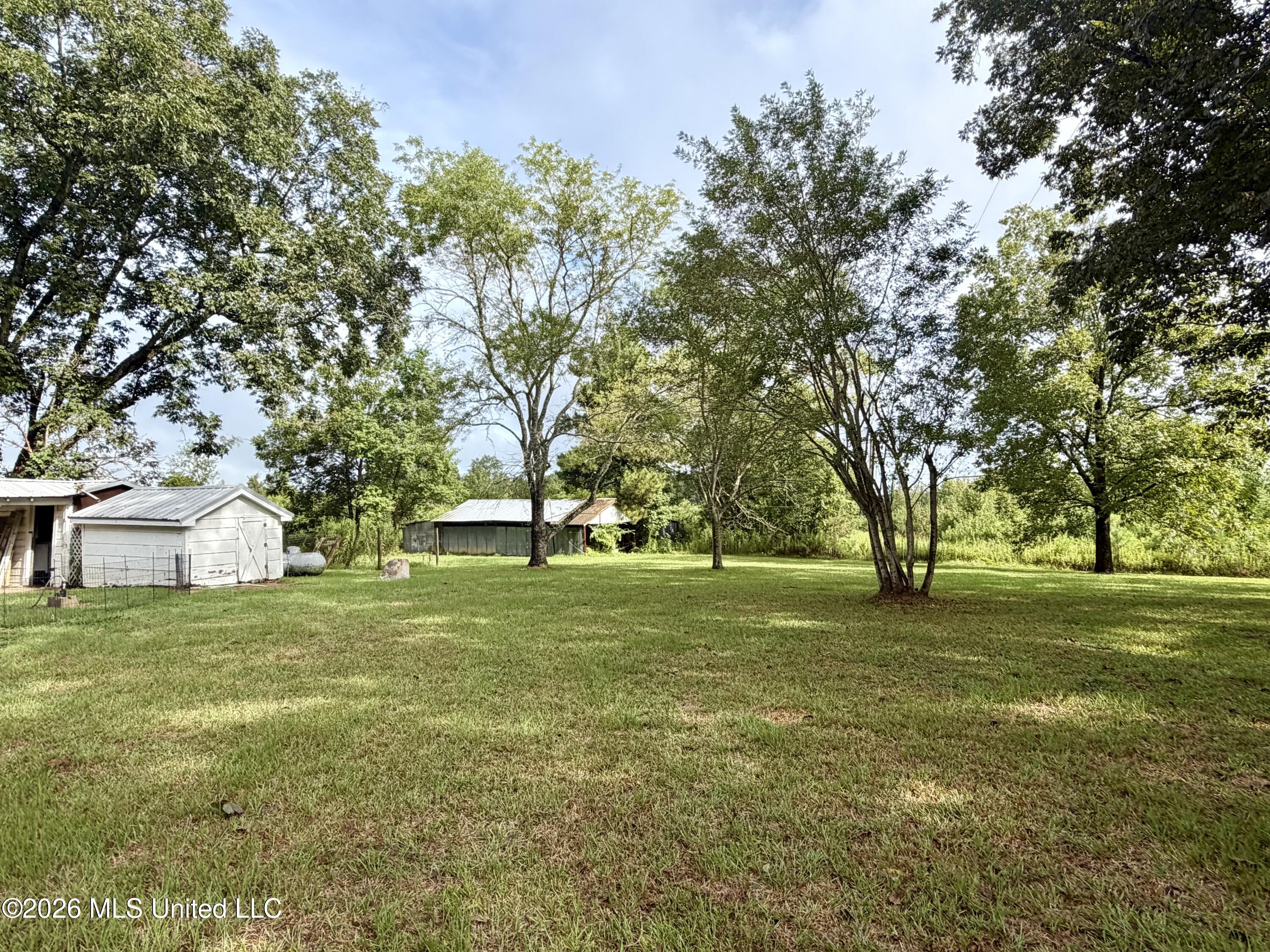 9145 Bogue Chitto Road Property Photo 4