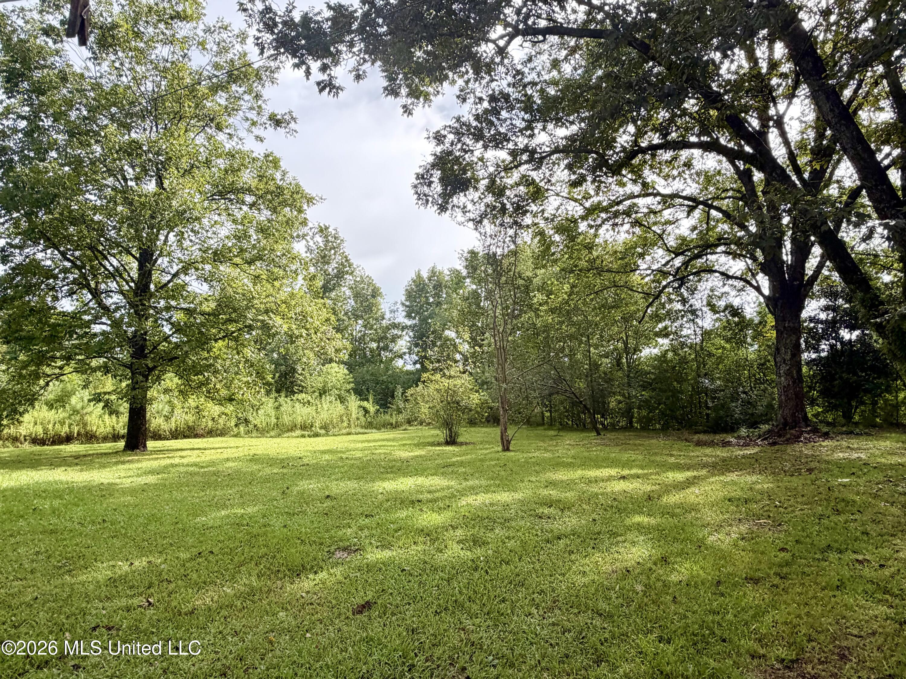 9145 Bogue Chitto Road Property Photo 5