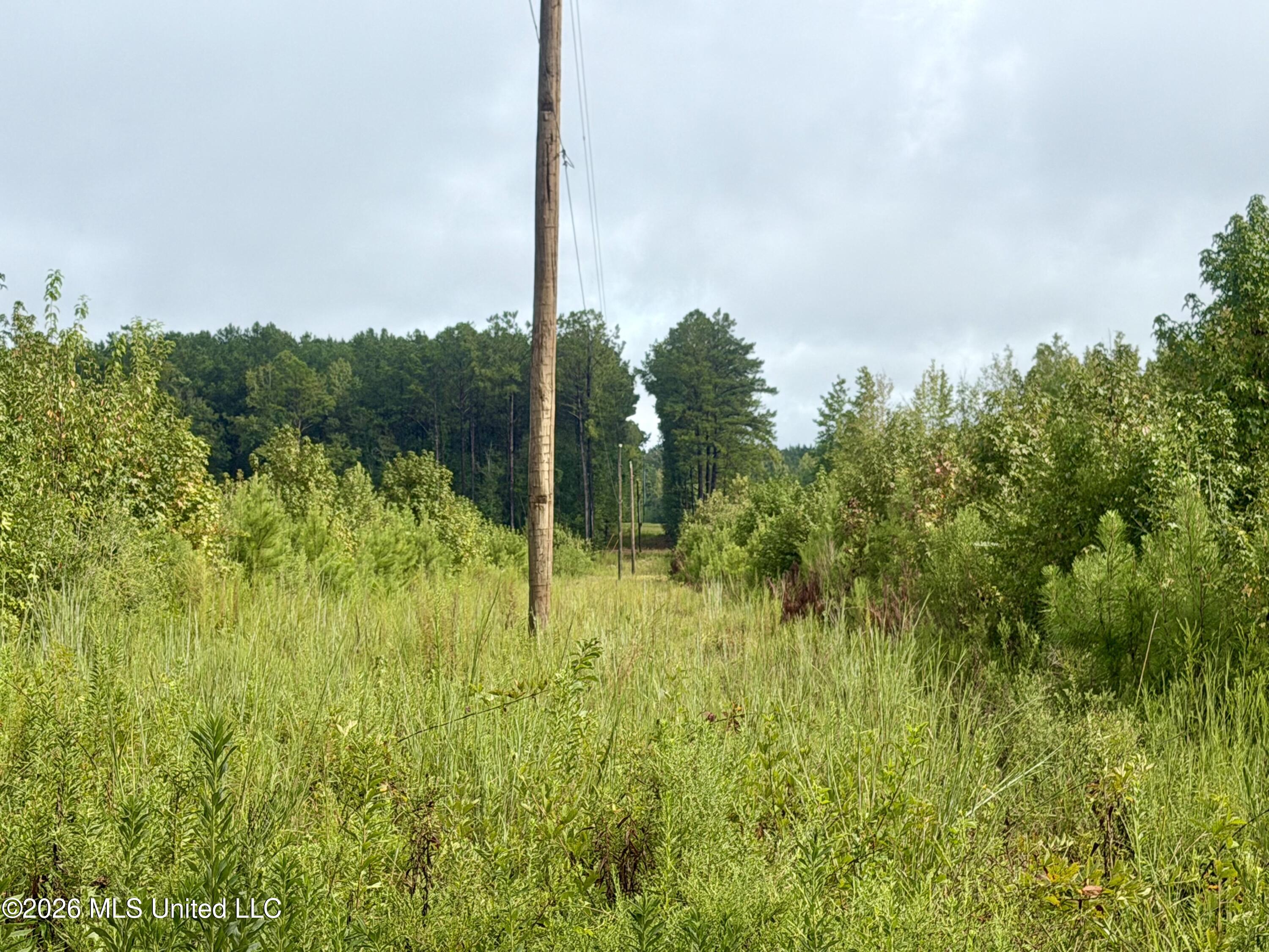 9145 Bogue Chitto Road Property Photo 7