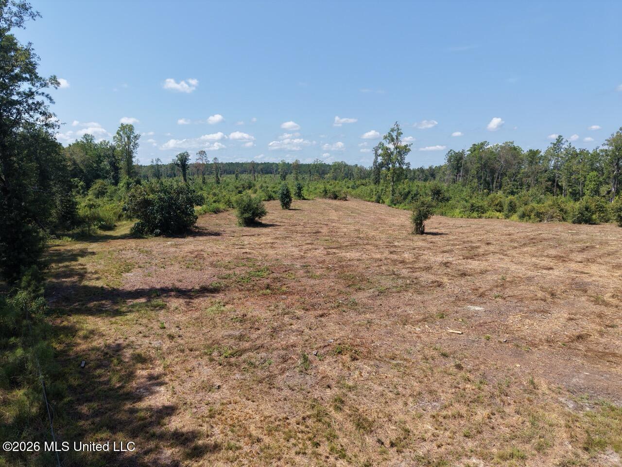 3 Dewitt Lane Property Photo 1