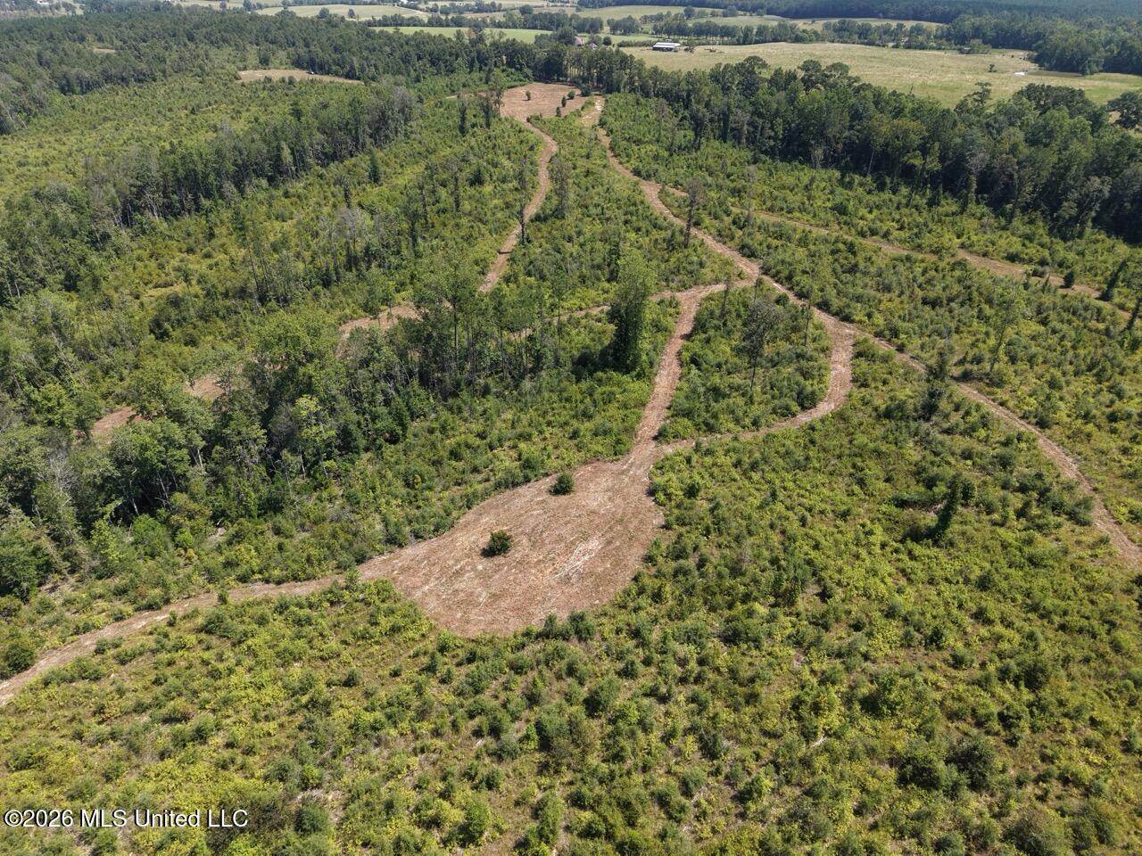 3 Dewitt Lane Property Photo 15