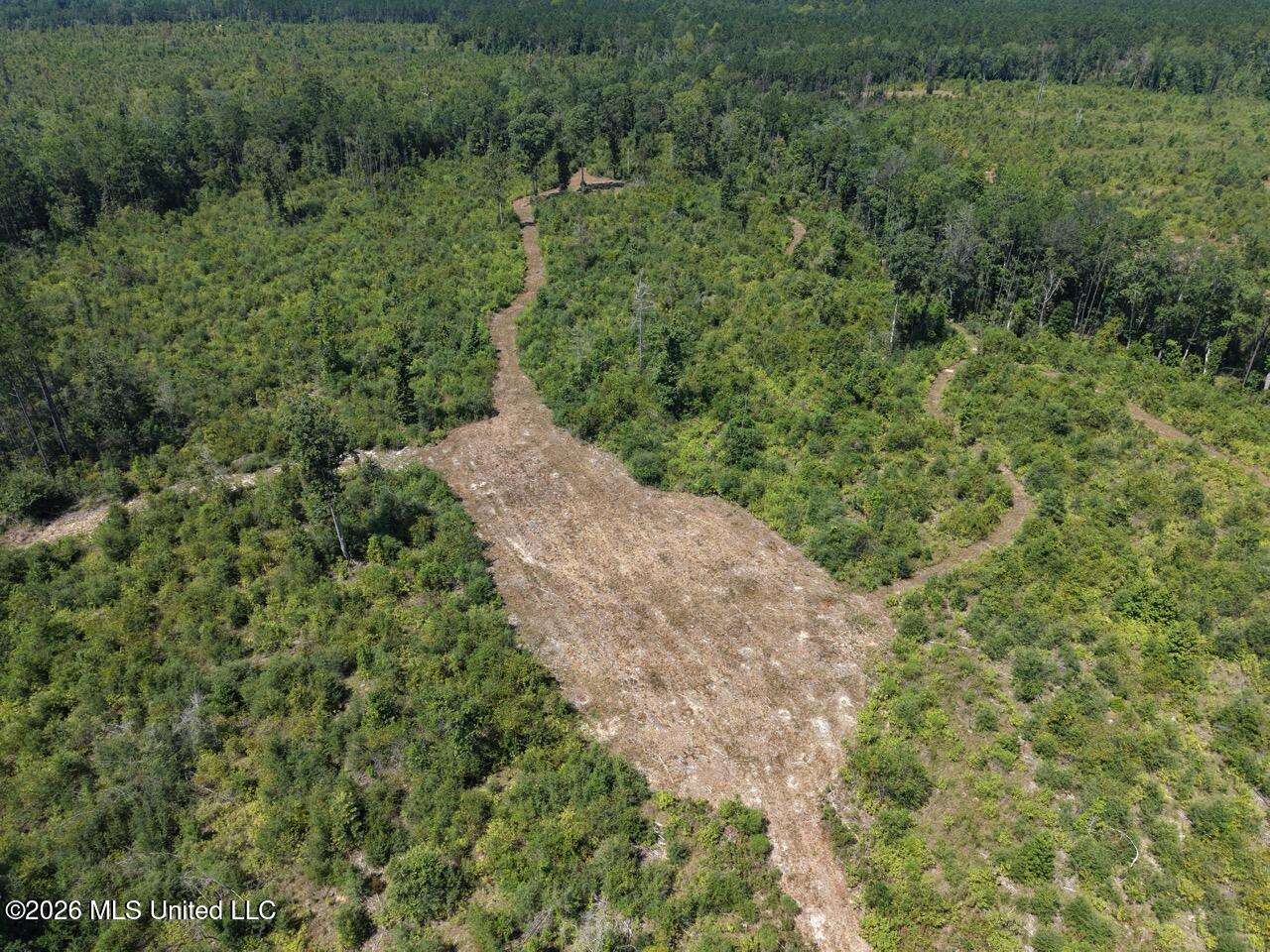 3 Dewitt Lane Property Photo 18