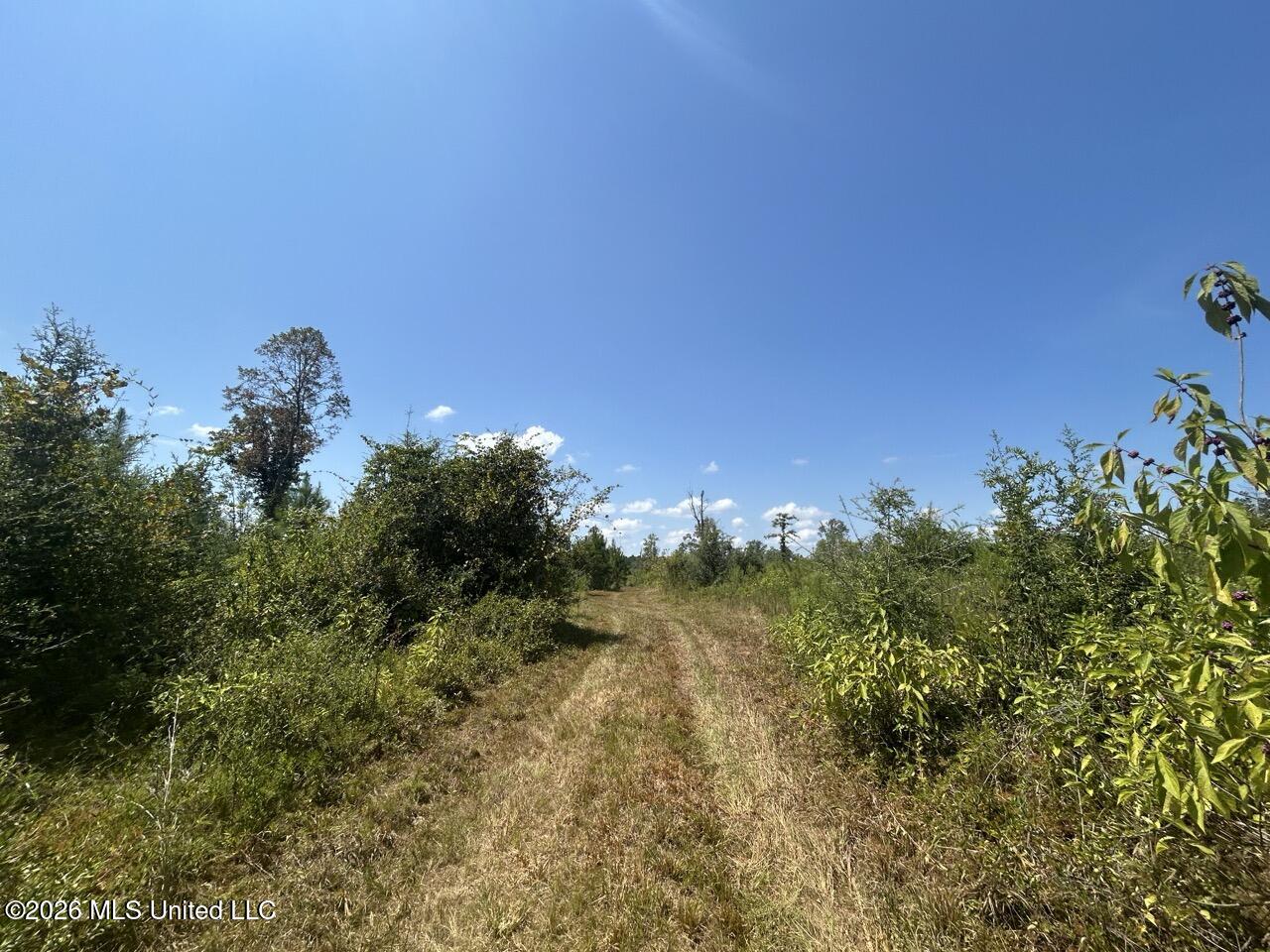 3 Dewitt Lane Property Photo 27