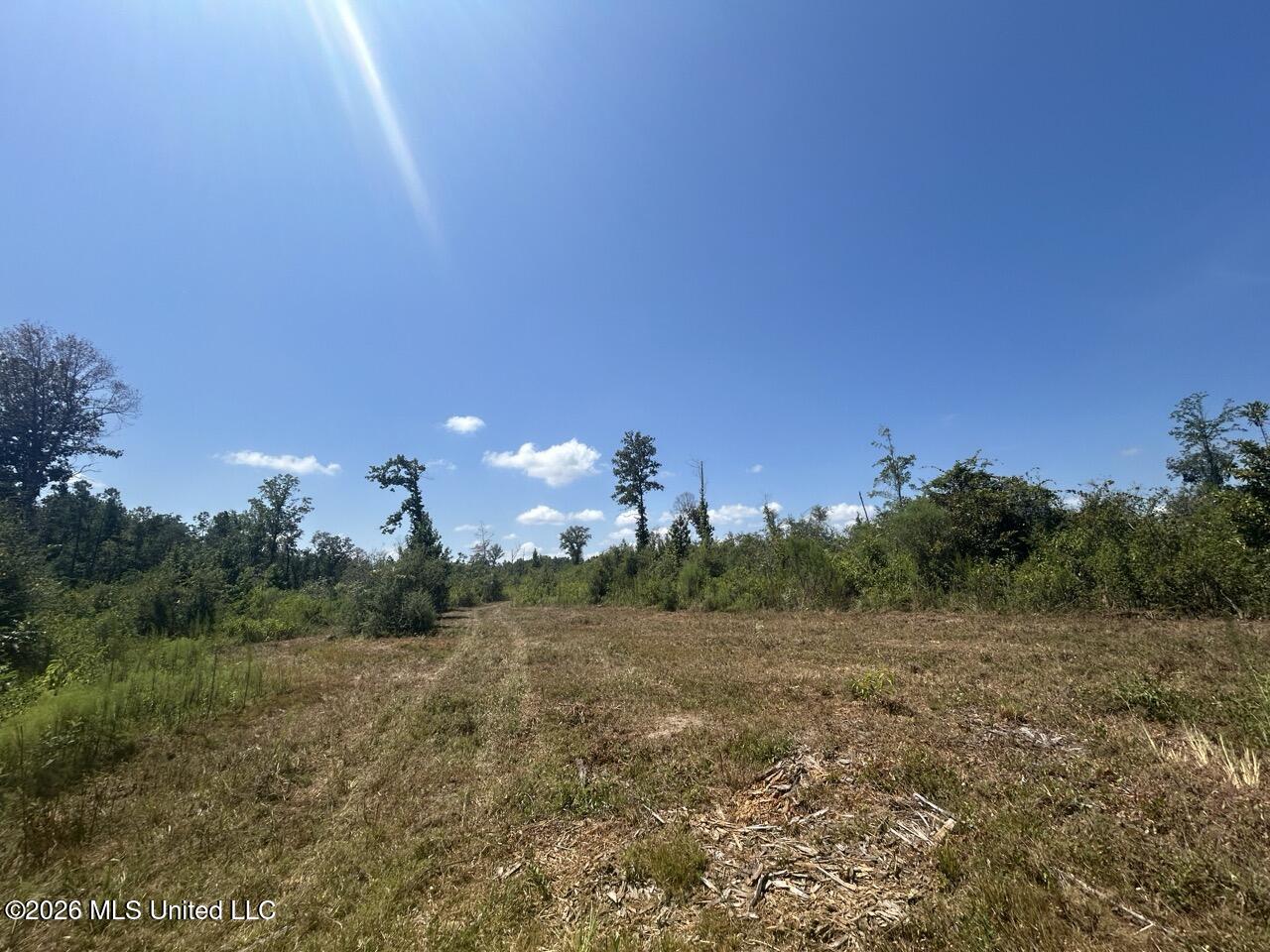 3 Dewitt Lane Property Photo 29