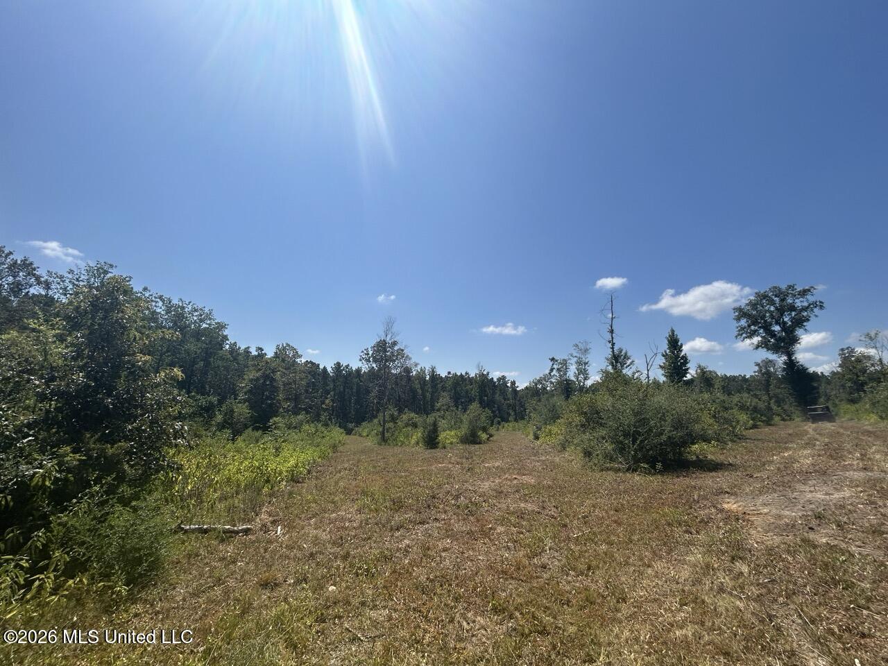 3 Dewitt Lane Property Photo 30