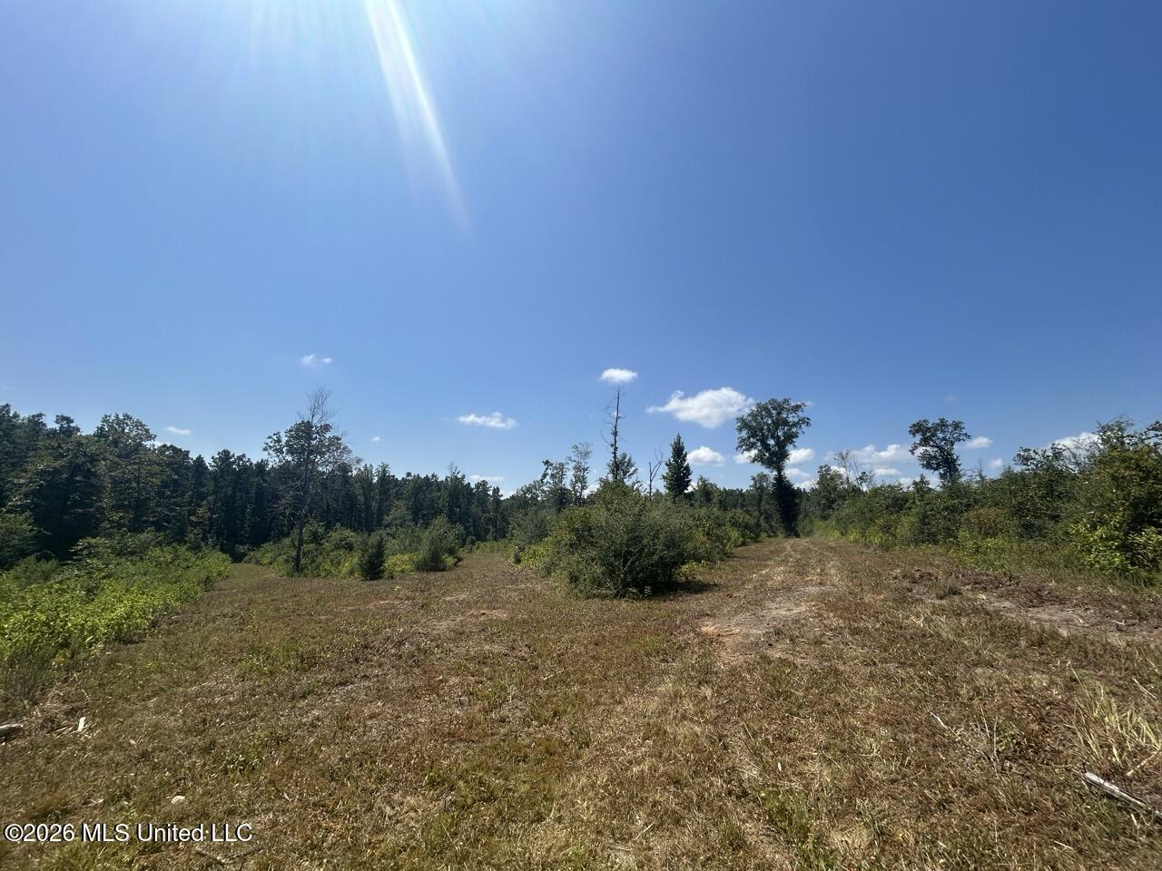 3 Dewitt Lane Property Photo 31