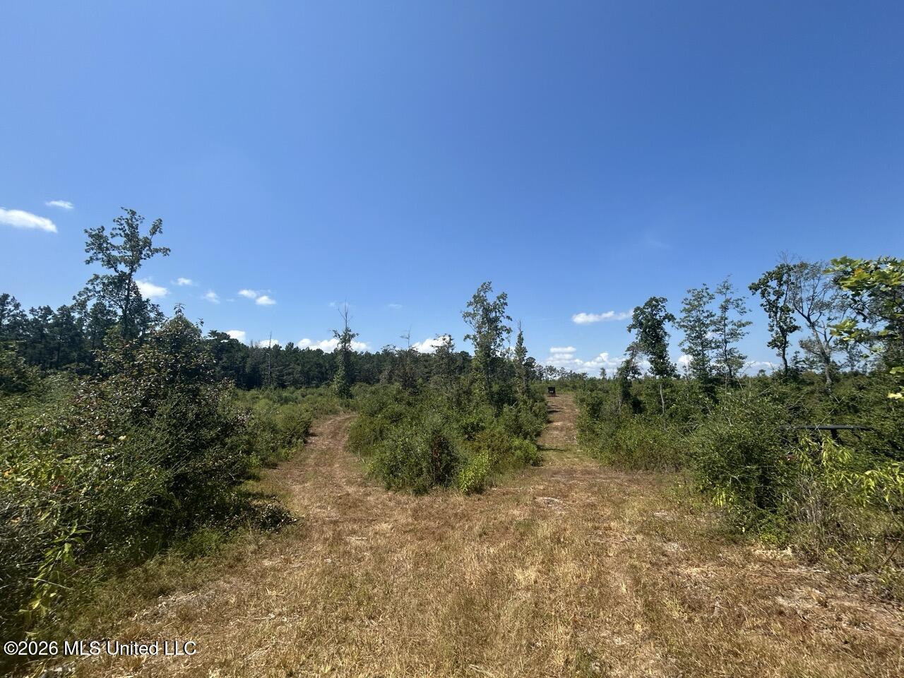 3 Dewitt Lane Property Photo 34