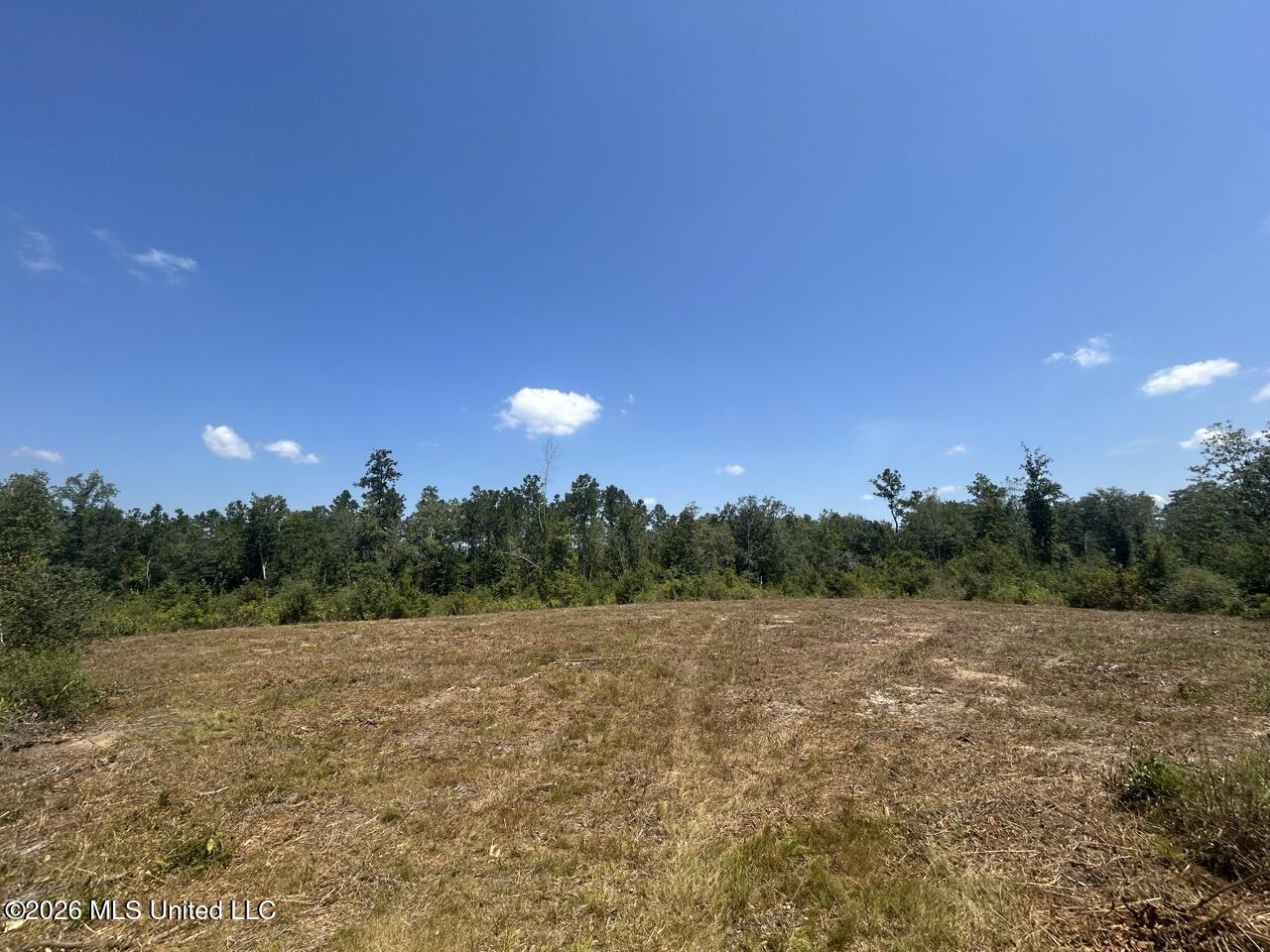3 Dewitt Lane Property Photo 36