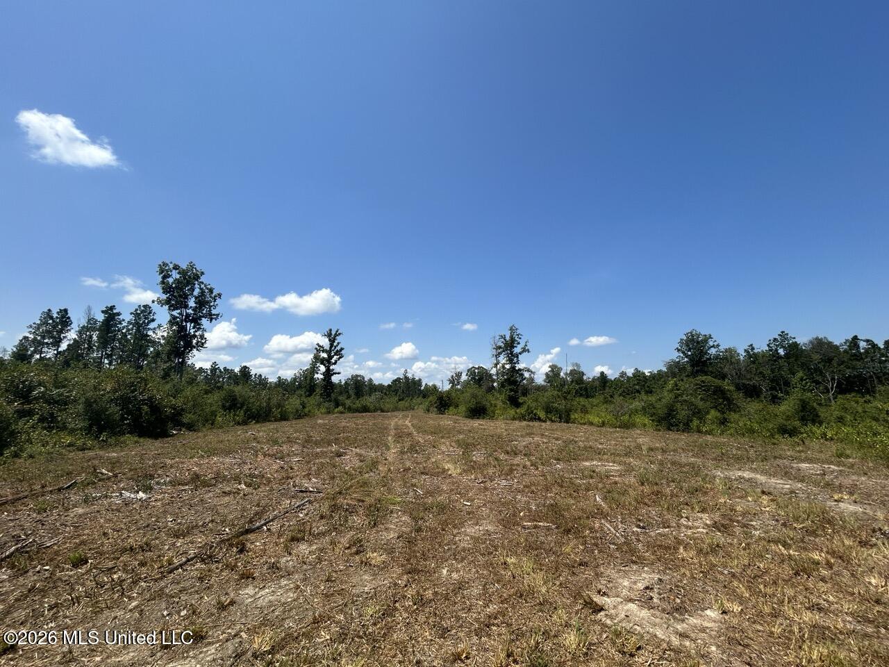 3 Dewitt Lane Property Photo 42
