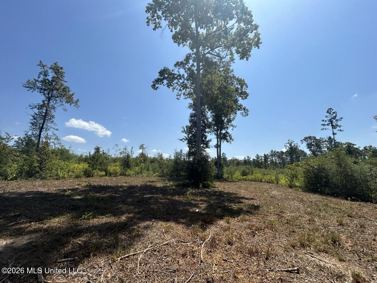 3 Dewitt Lane Property Photo 44