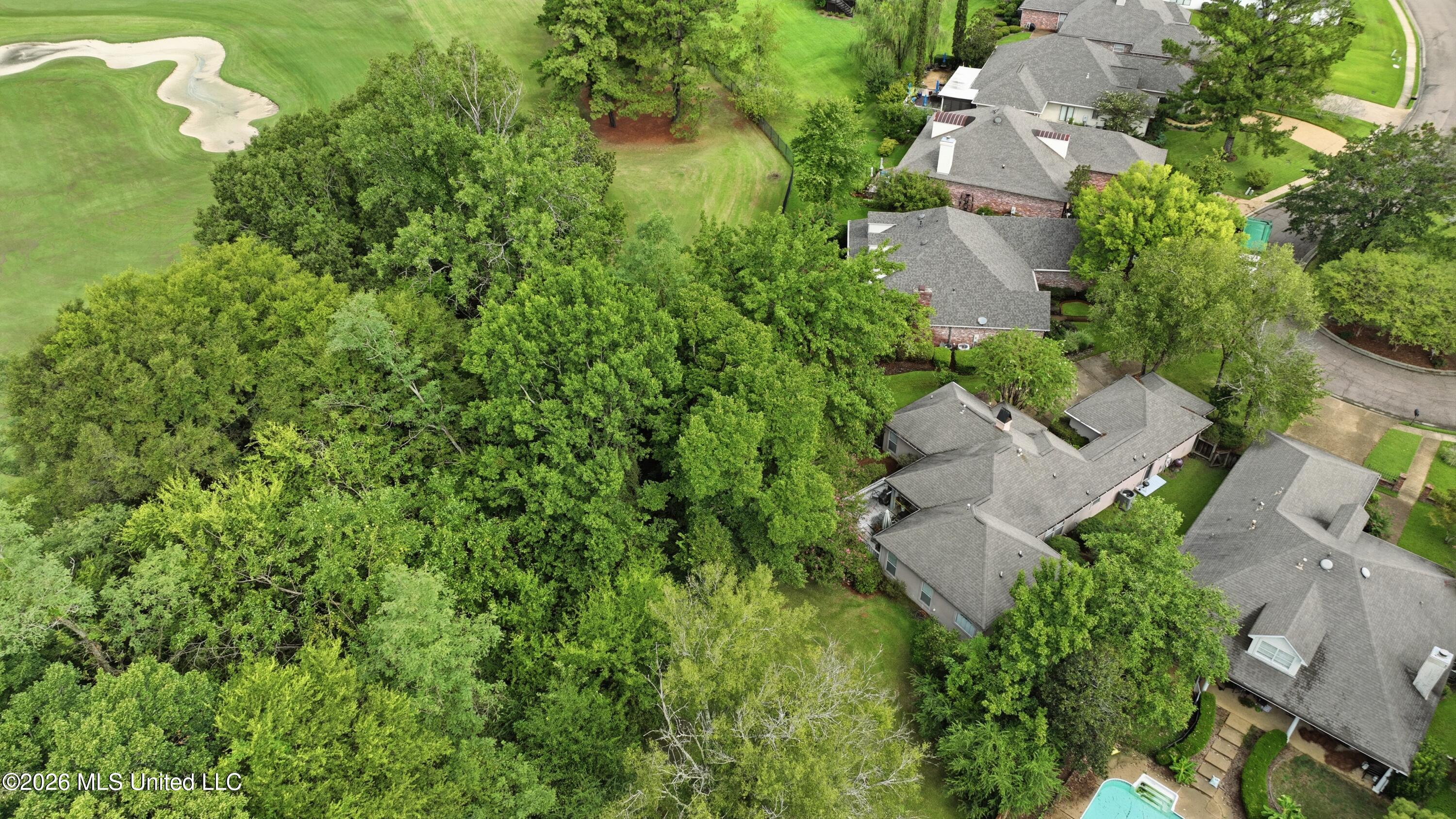 413 Eastpointe Cove Property Photo 43