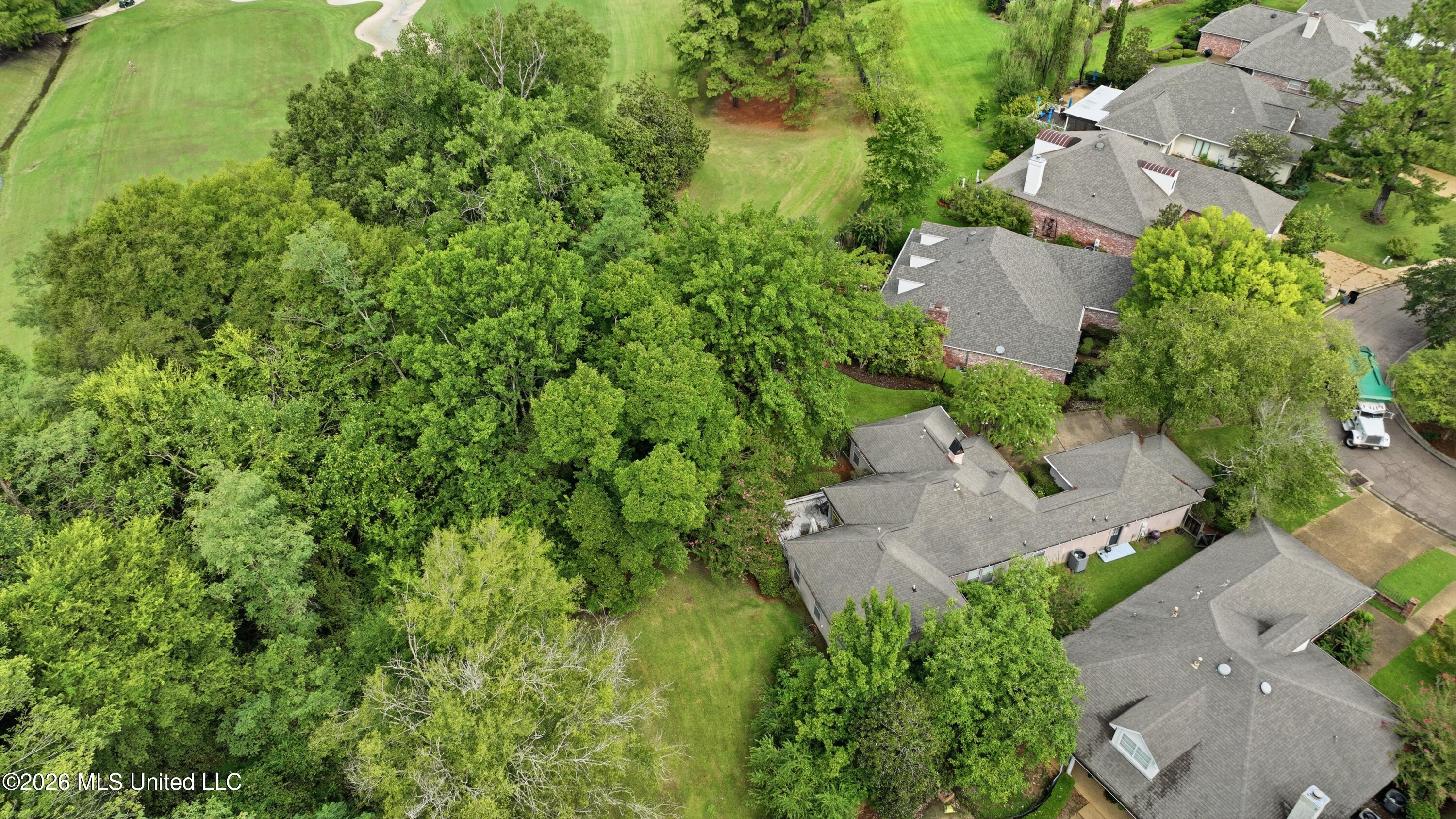 413 Eastpointe Cove Property Photo 45